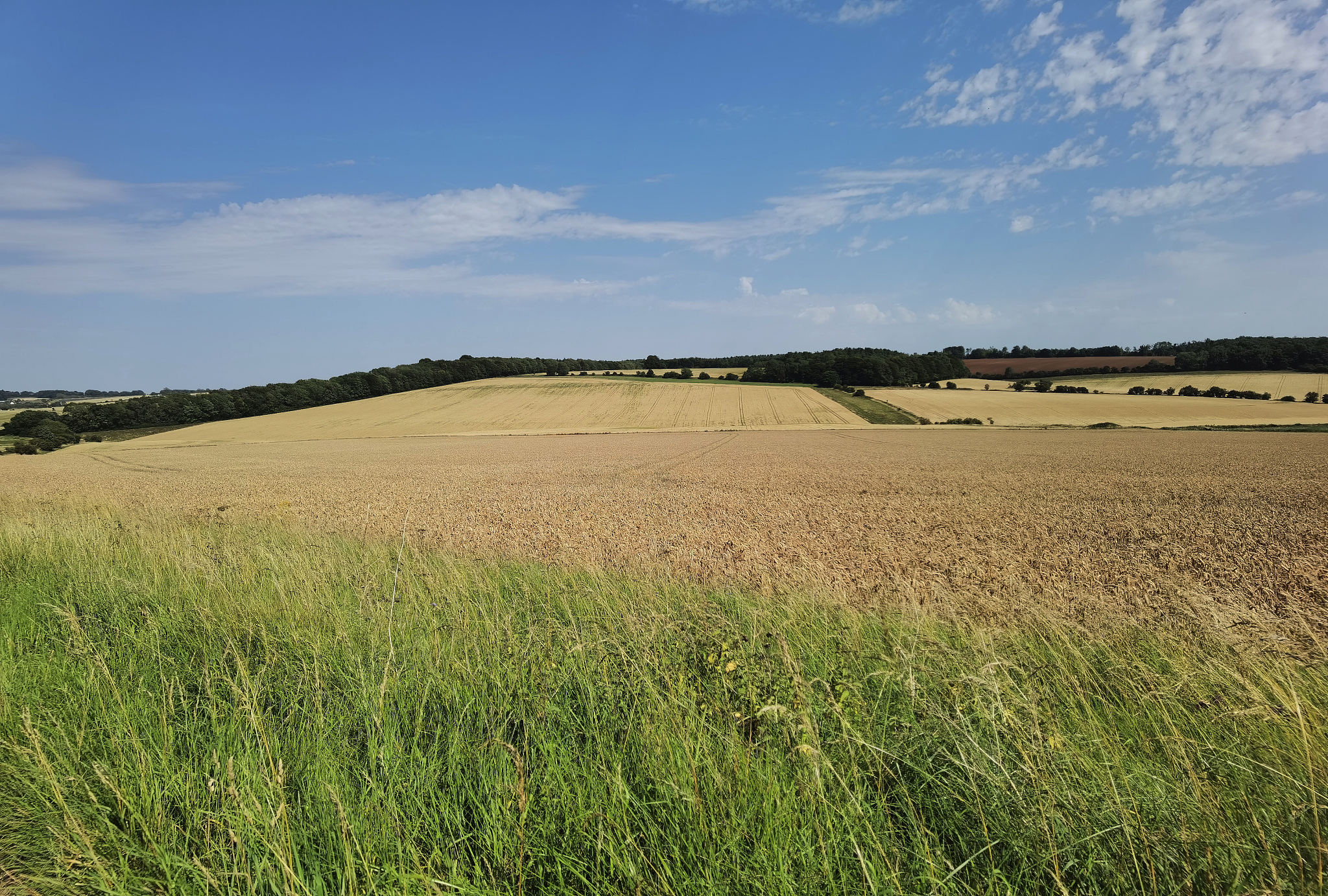 江西农业工程职业学院招生咨询电话-怎么样
