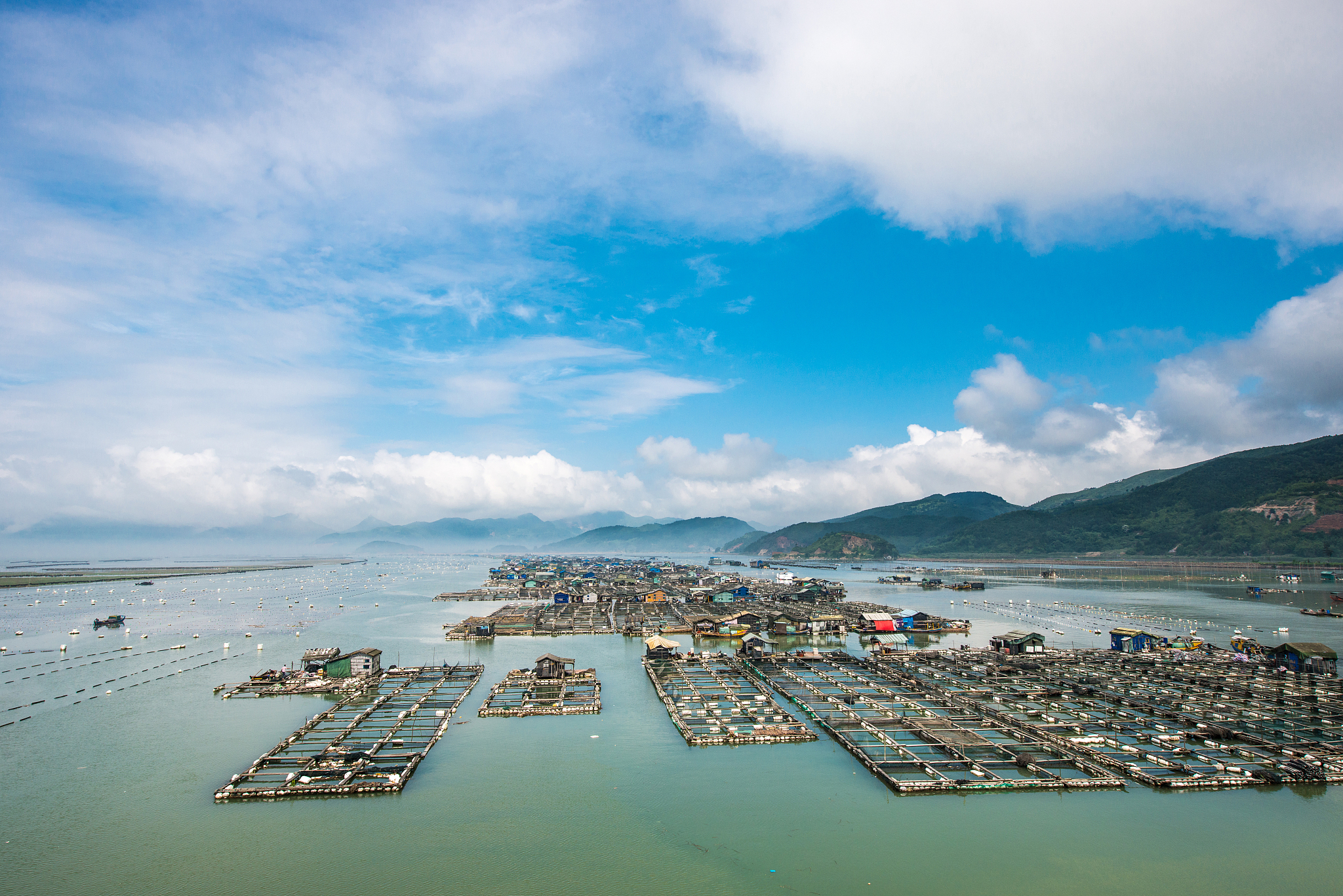 福建霞浦养殖业