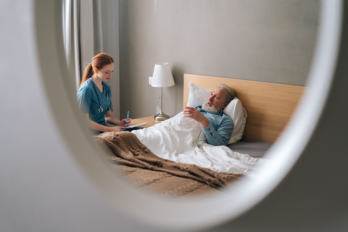 成年猫患猫瘟会死吗？了解风险和治疗