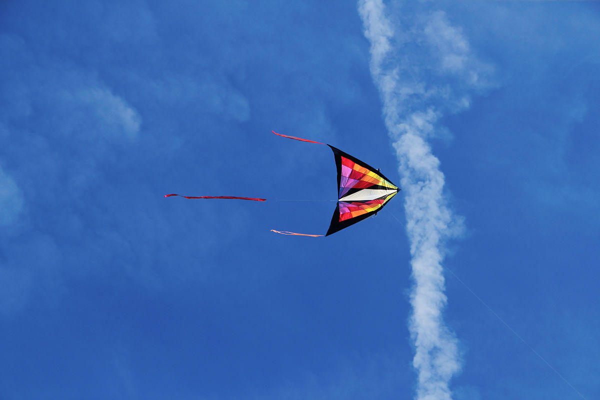 忙趁东风放纸鸢东风是指什么