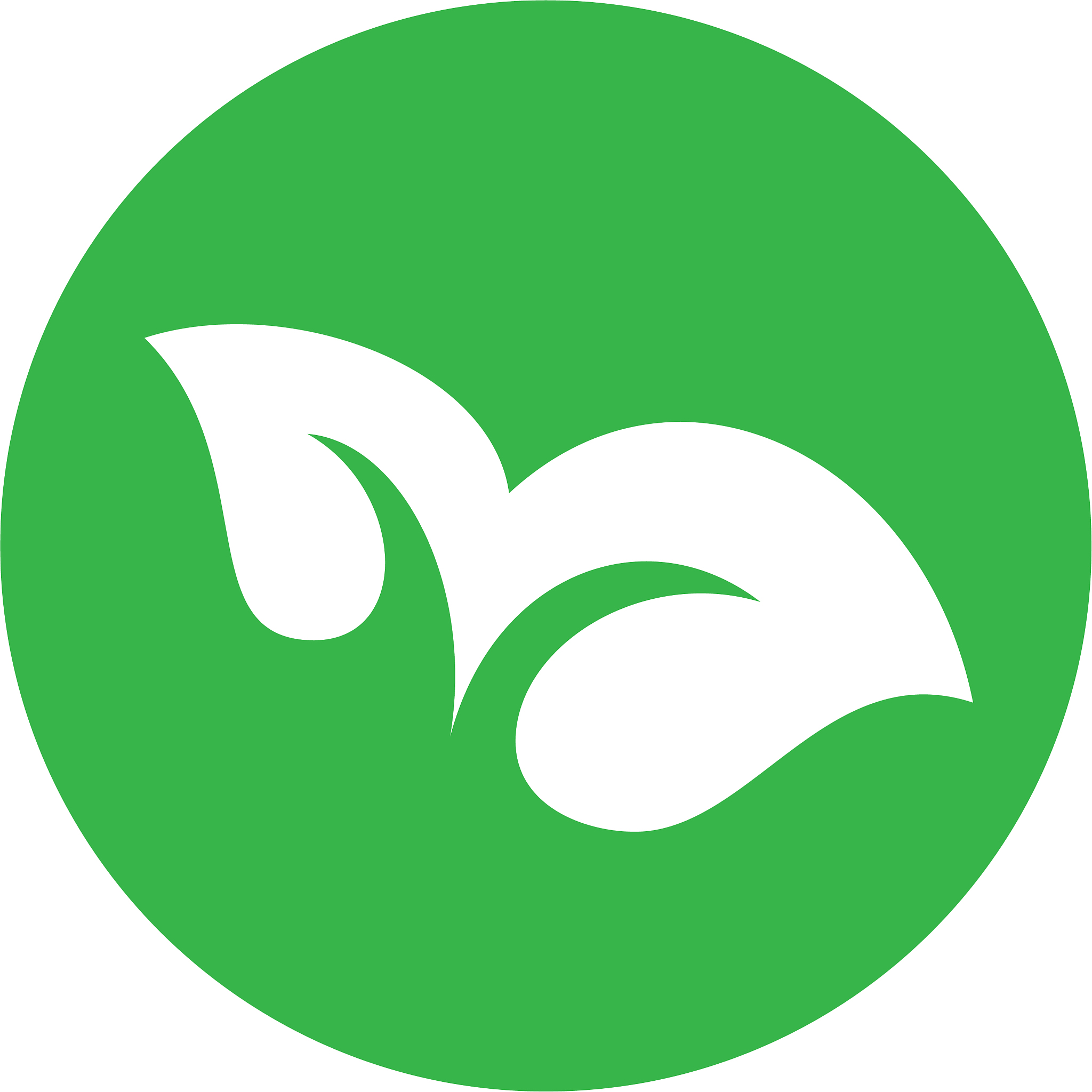 eco green leaf concept