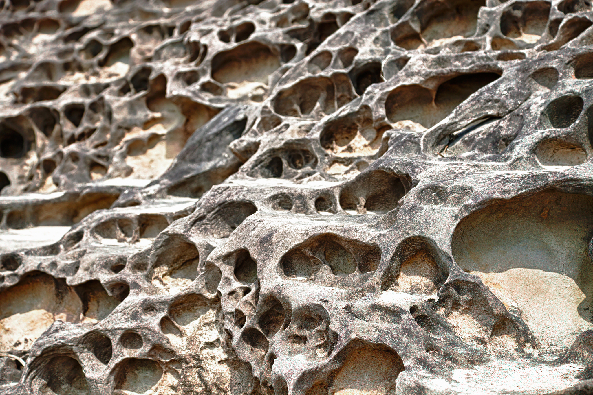 rocks at yehliu geological park, keelung, taiwan, republic of ch