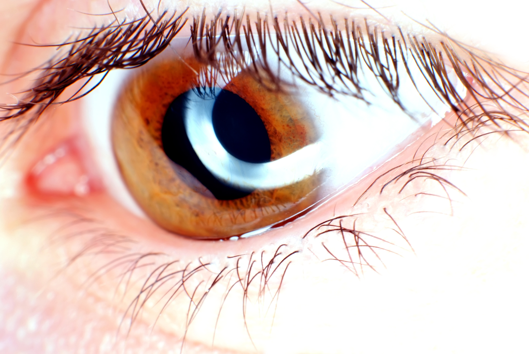 brown eye