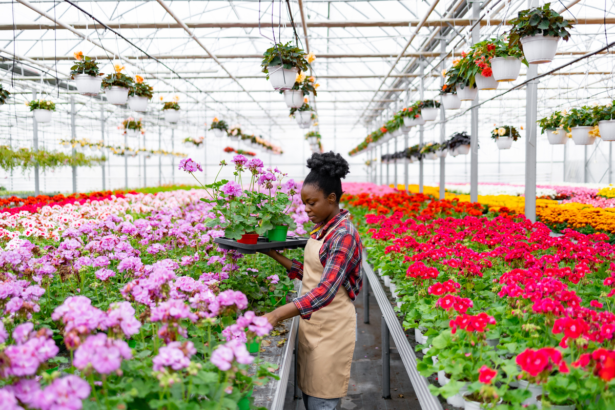 贵州果蔬花卉生产技术专业学校排名及就业前景分析