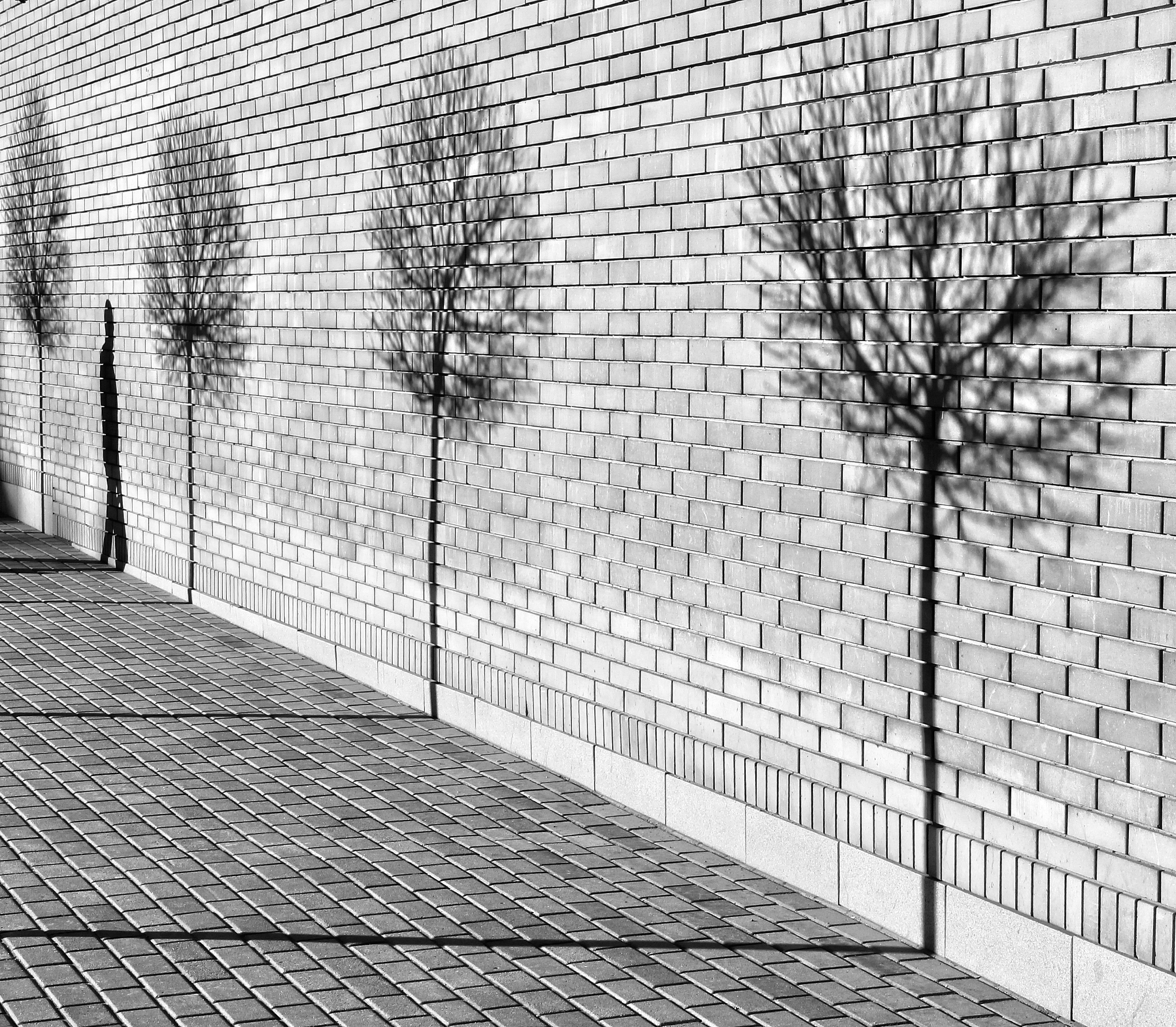 优秀学生干部：学习成绩优异，获奖无数，具备领导能力和团队精神