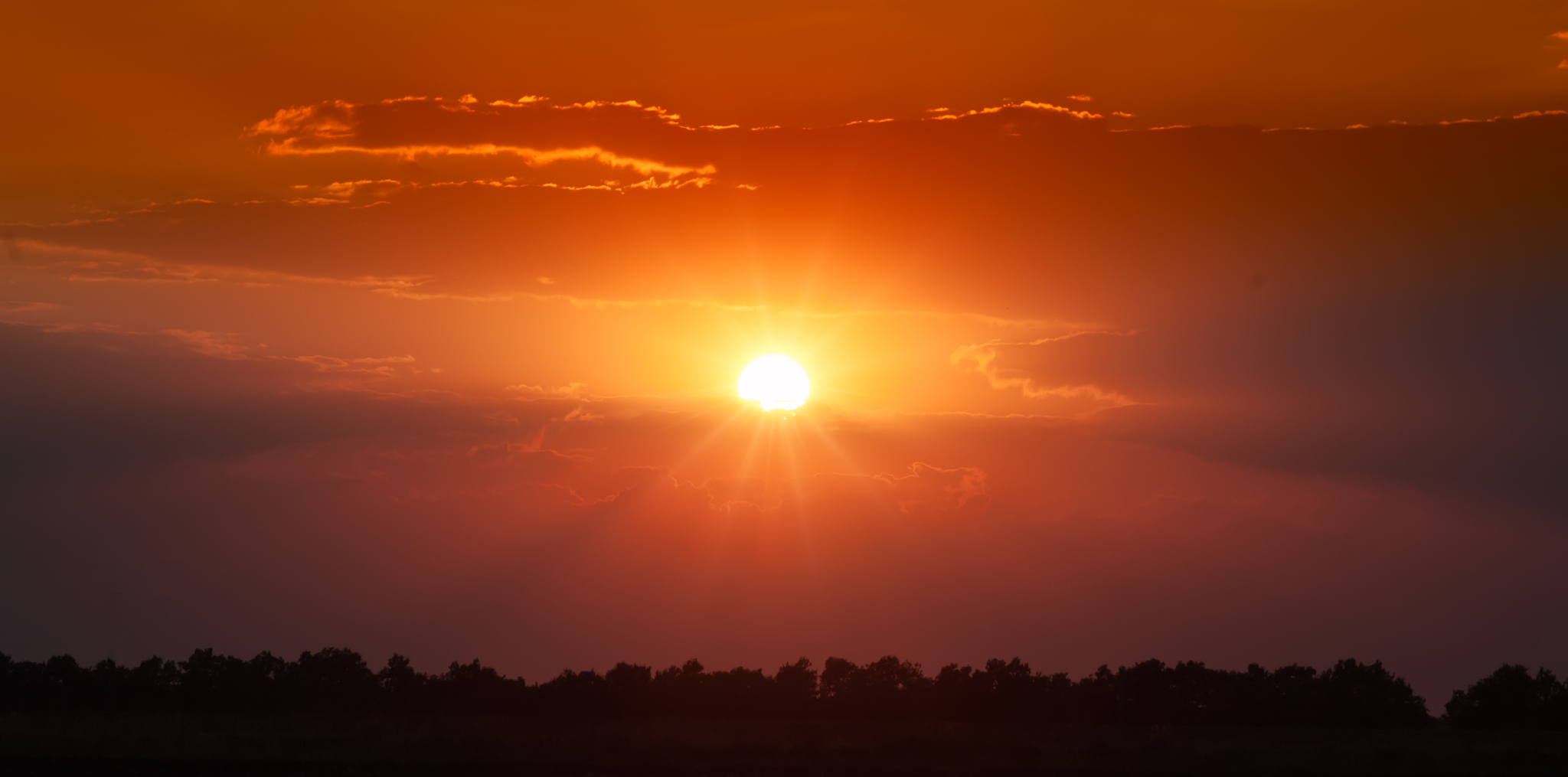 日出美景描写：300字描绘清晨壮丽景象