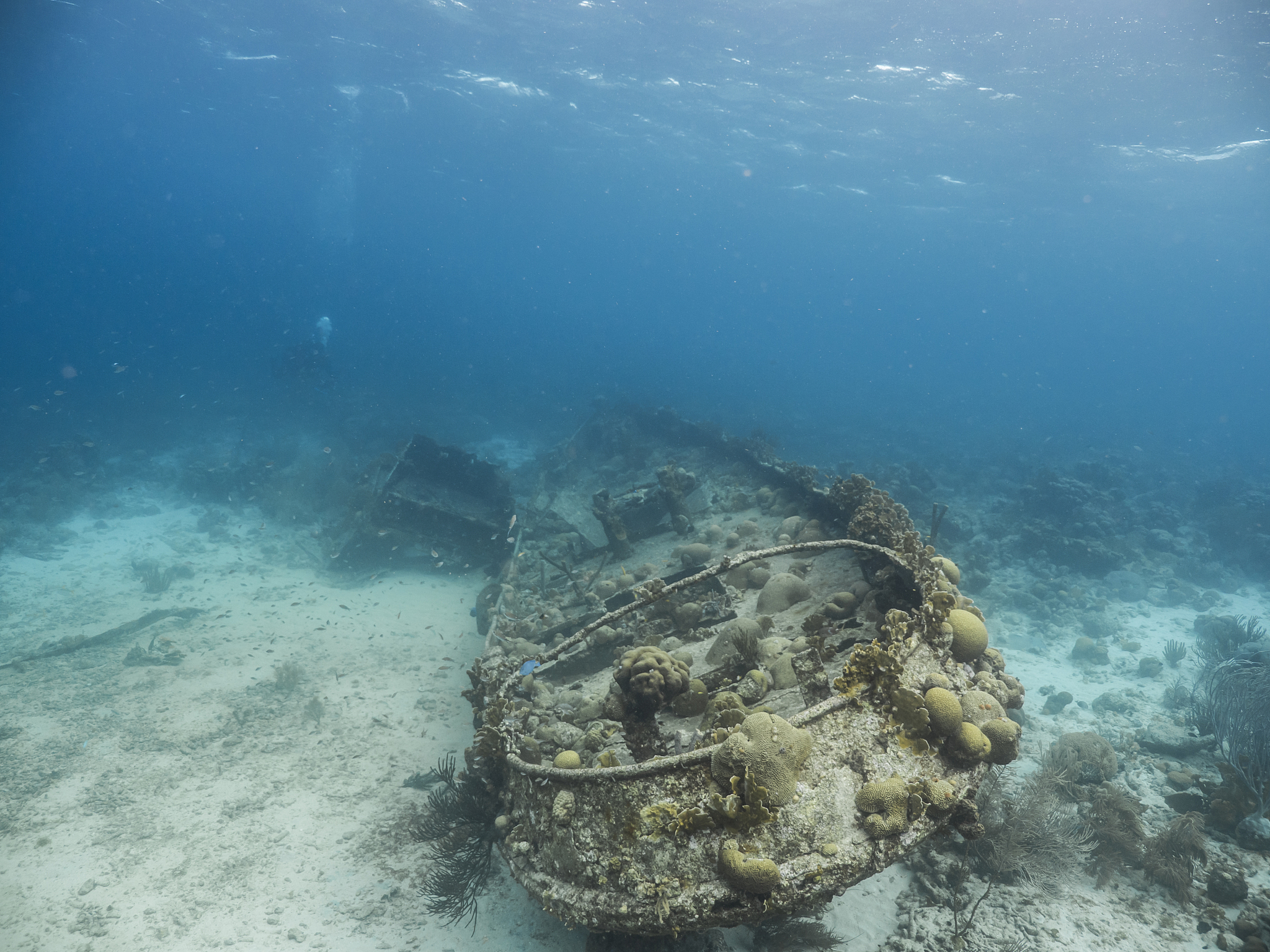 ship wreck 'tugboat saba' in coral reef of caribbean sea around 