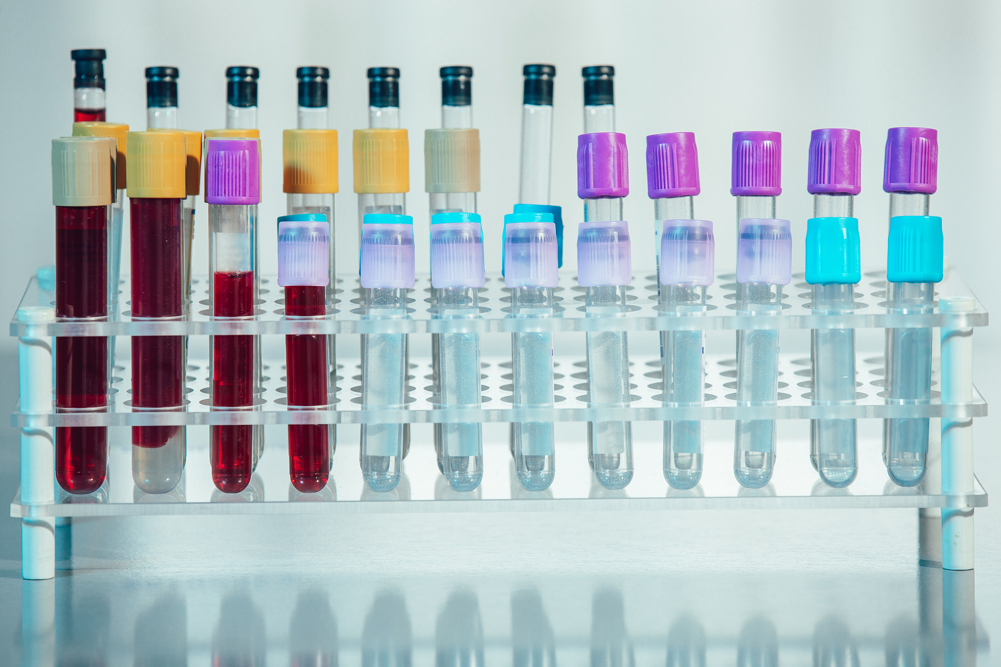 大连医科大学生物医学工程专业怎么样