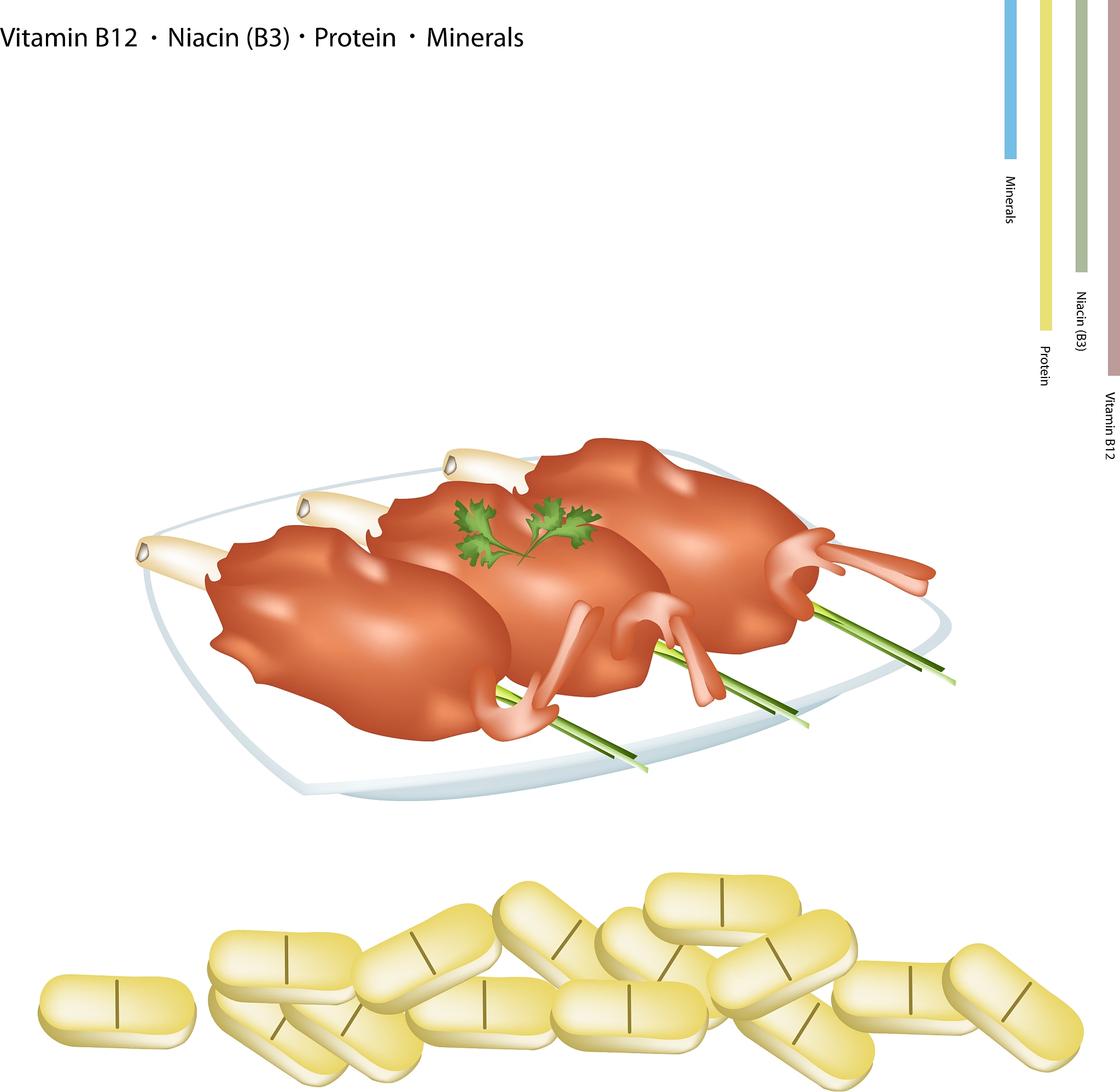 人体的代谢功能详解 - 了解蛋白质、糖、脂肪等代谢过程