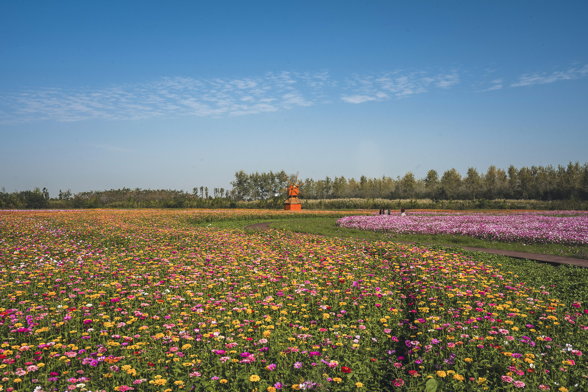 谷城百花岛：湖北荆州休闲观光胜地