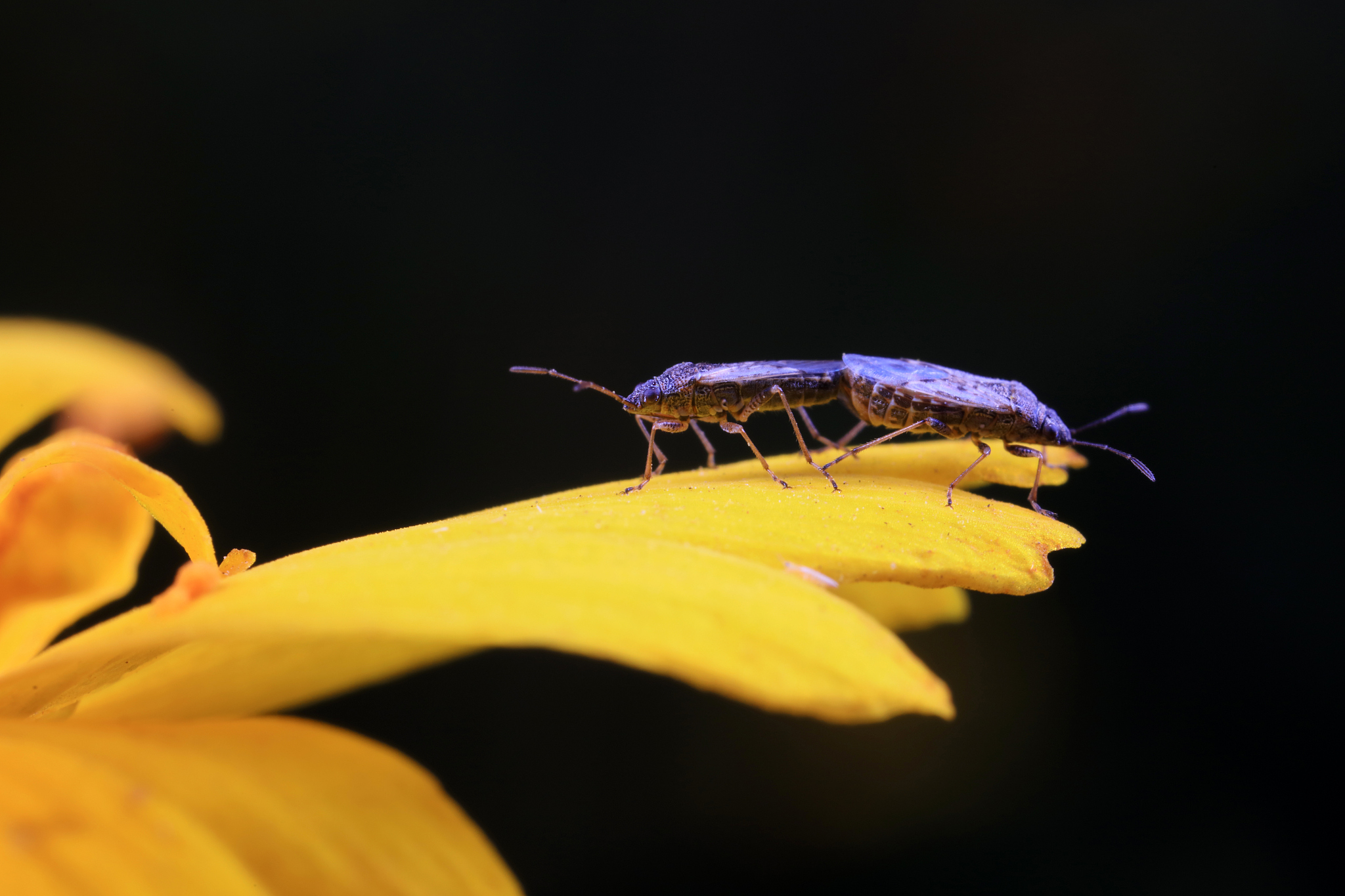 幼儿园小班个案观察记录：探索新环境，激发好奇心