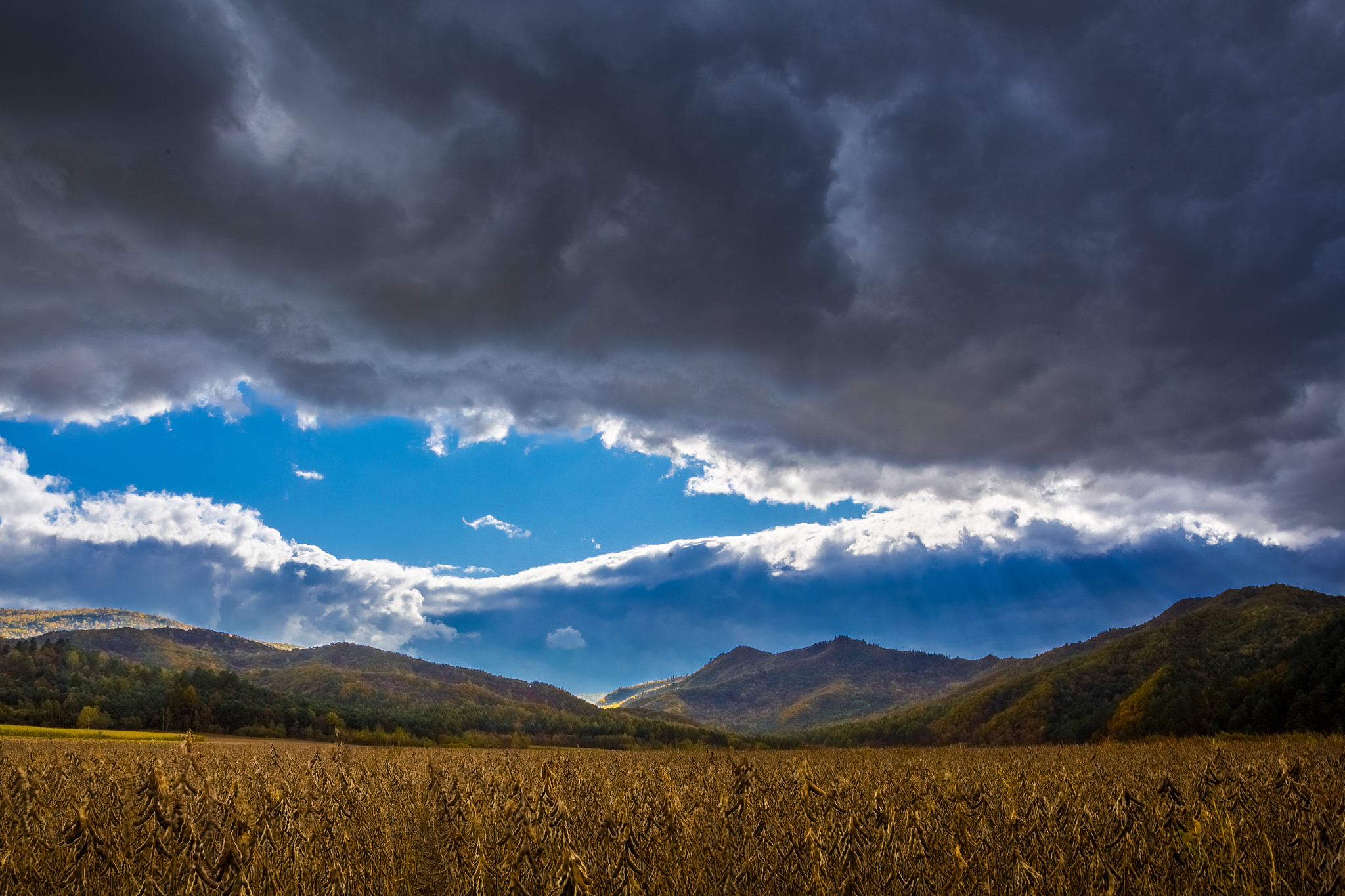 伊春市求助热线电话是多少？媒体曝光，一键直达！
