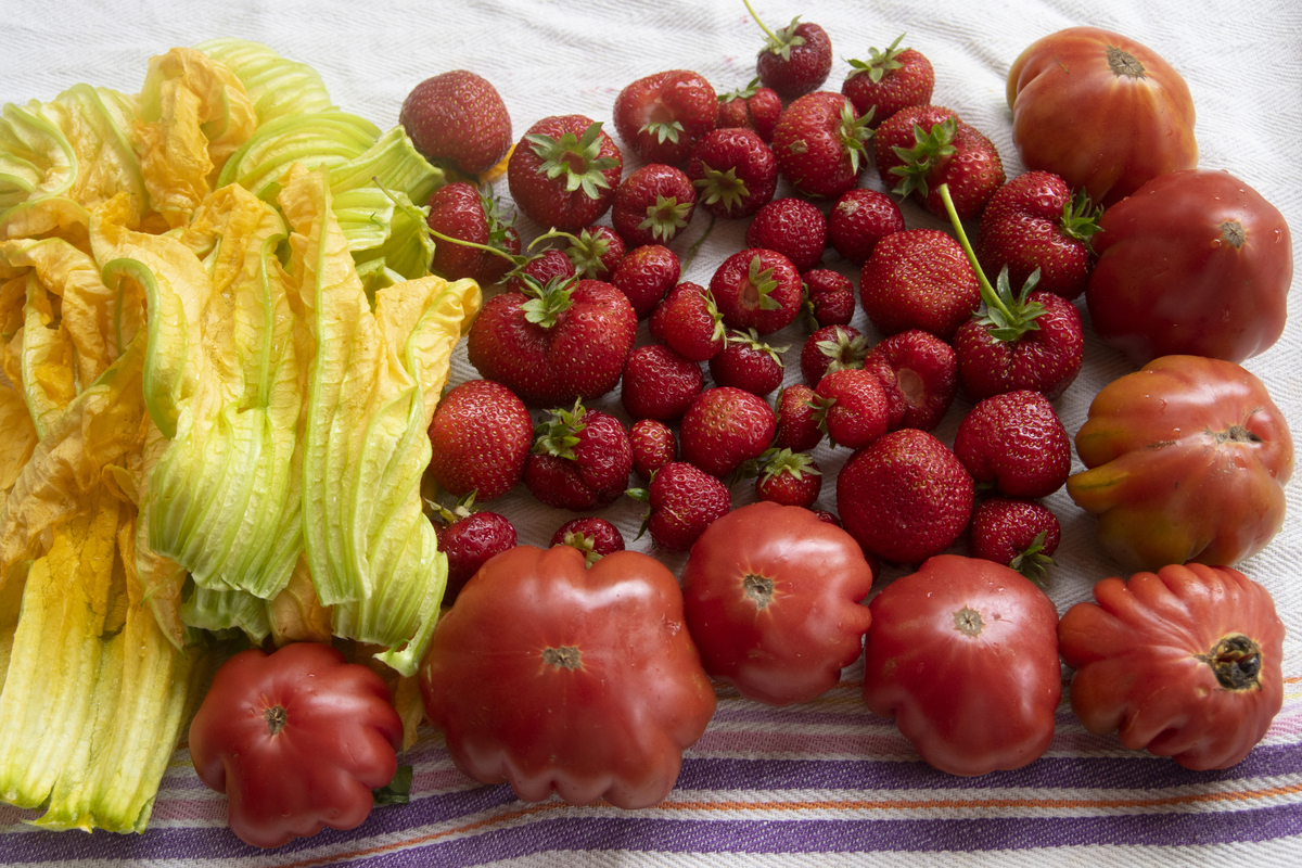 经期可以吃什么水果