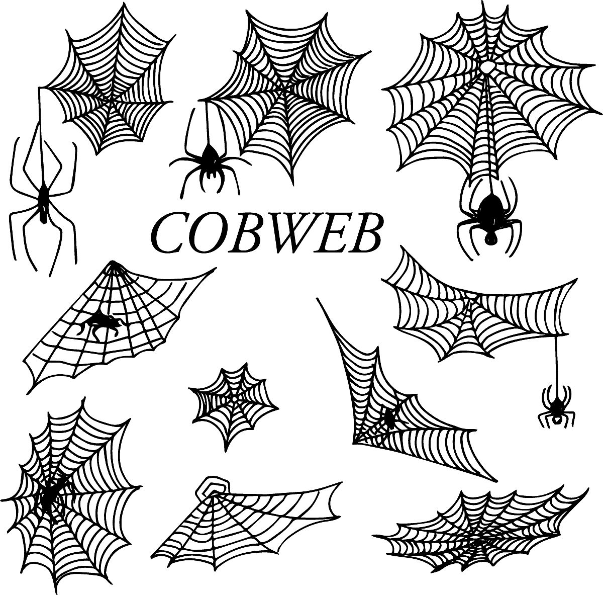 红河高中毕业生选择中专专业指南：热门专业推荐及就业前景分析