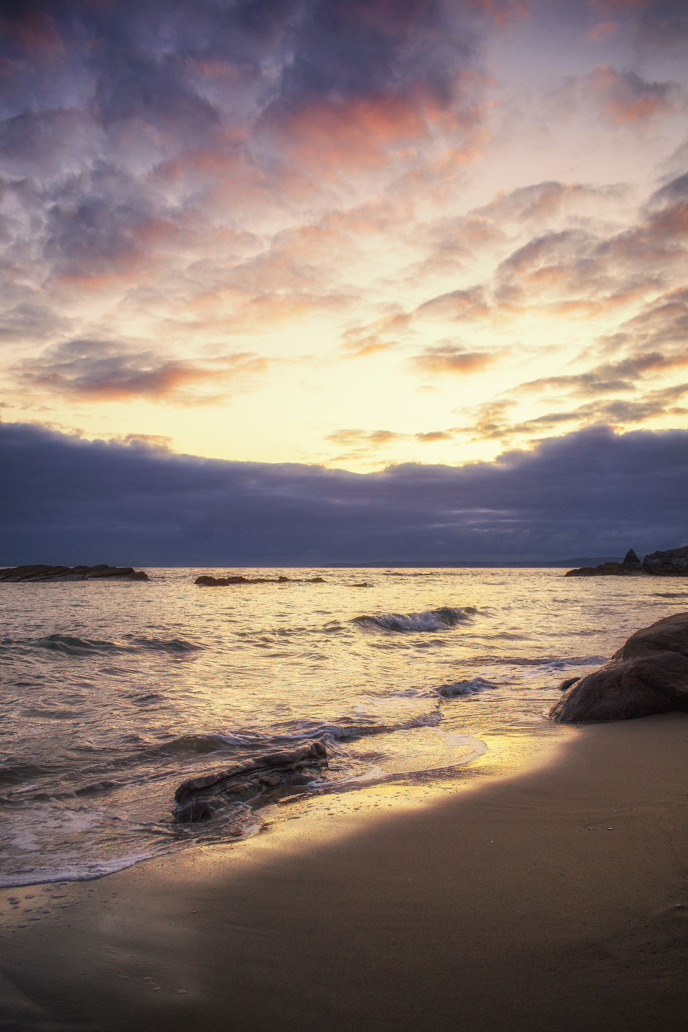 与慢性乙肝相关的treg各种亚型有哪些