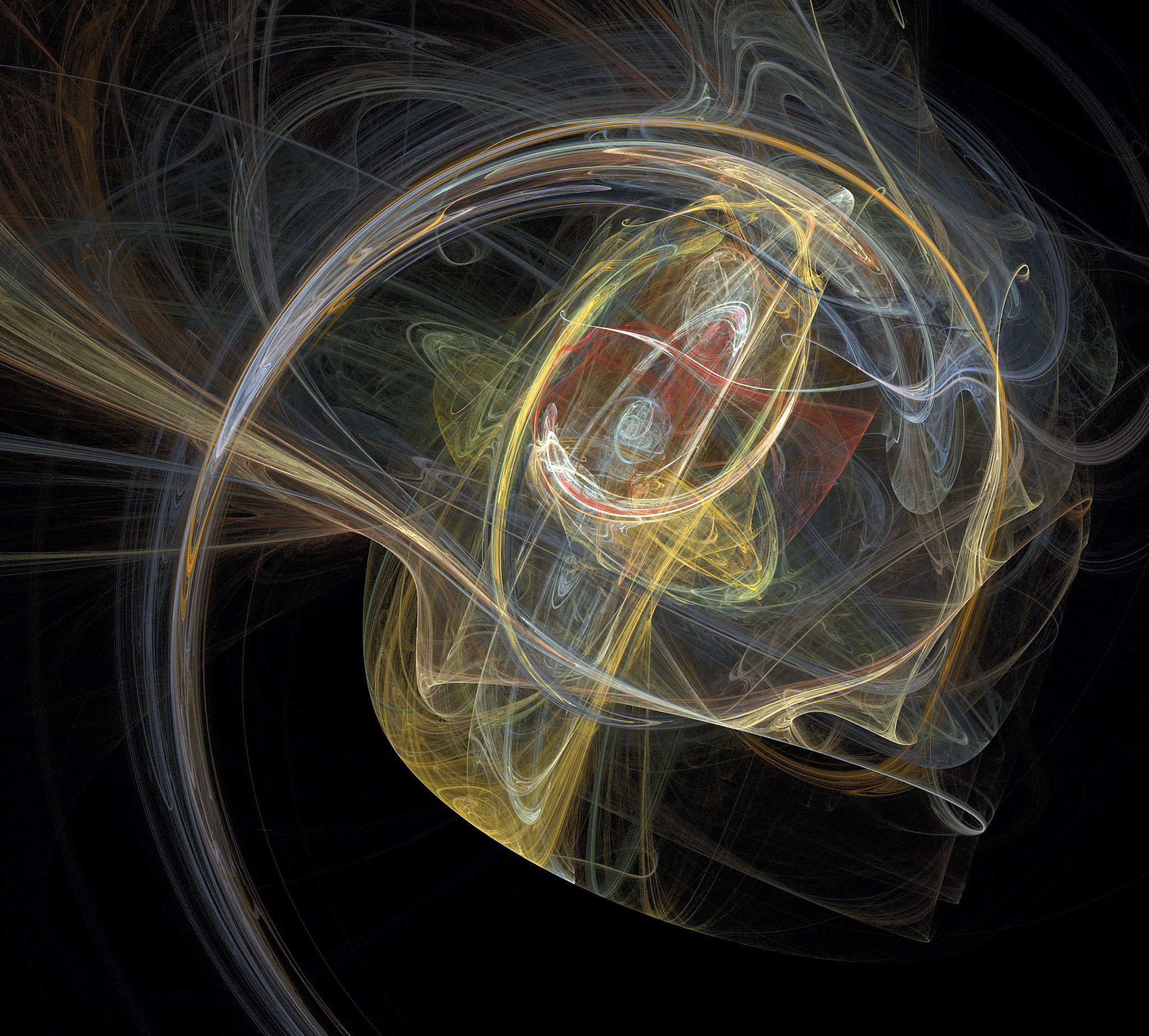 四维生物有可能存在吗