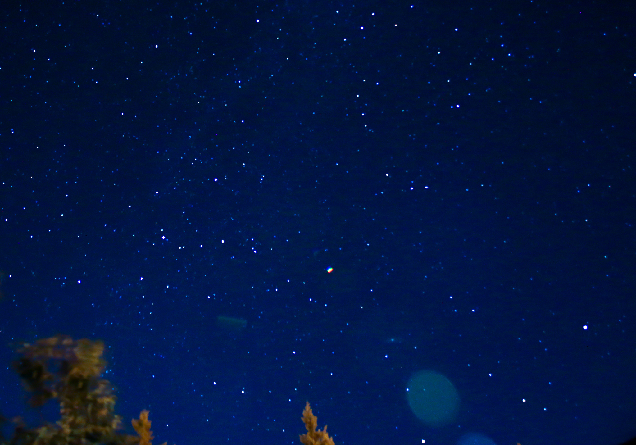 star lit sky