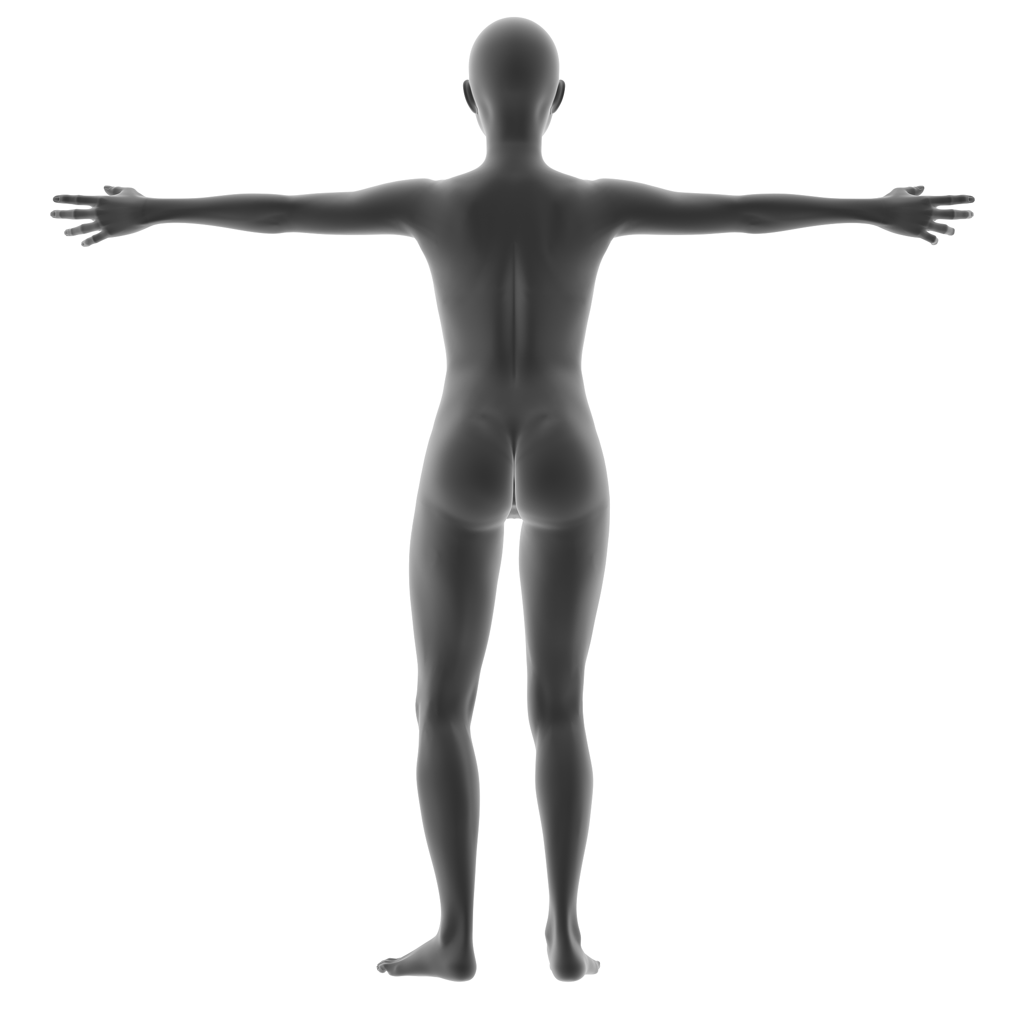 Openpose 模型复现：官方网站、中文文档、教程和代码