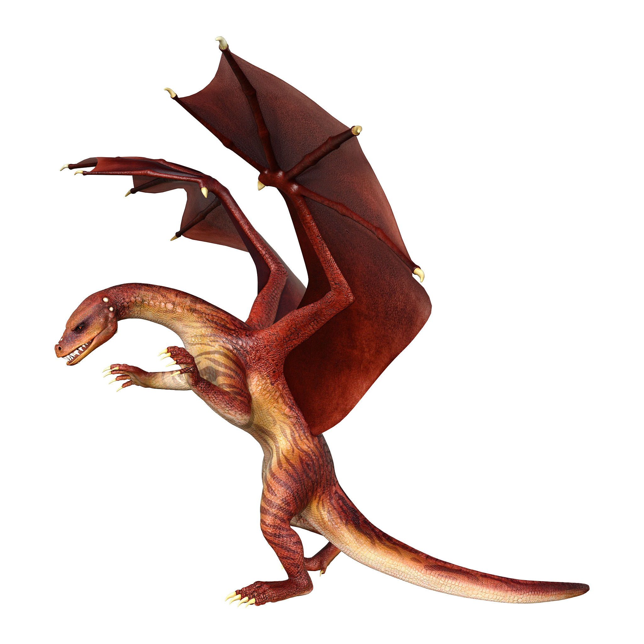 3d illustration fantasy dragon on white