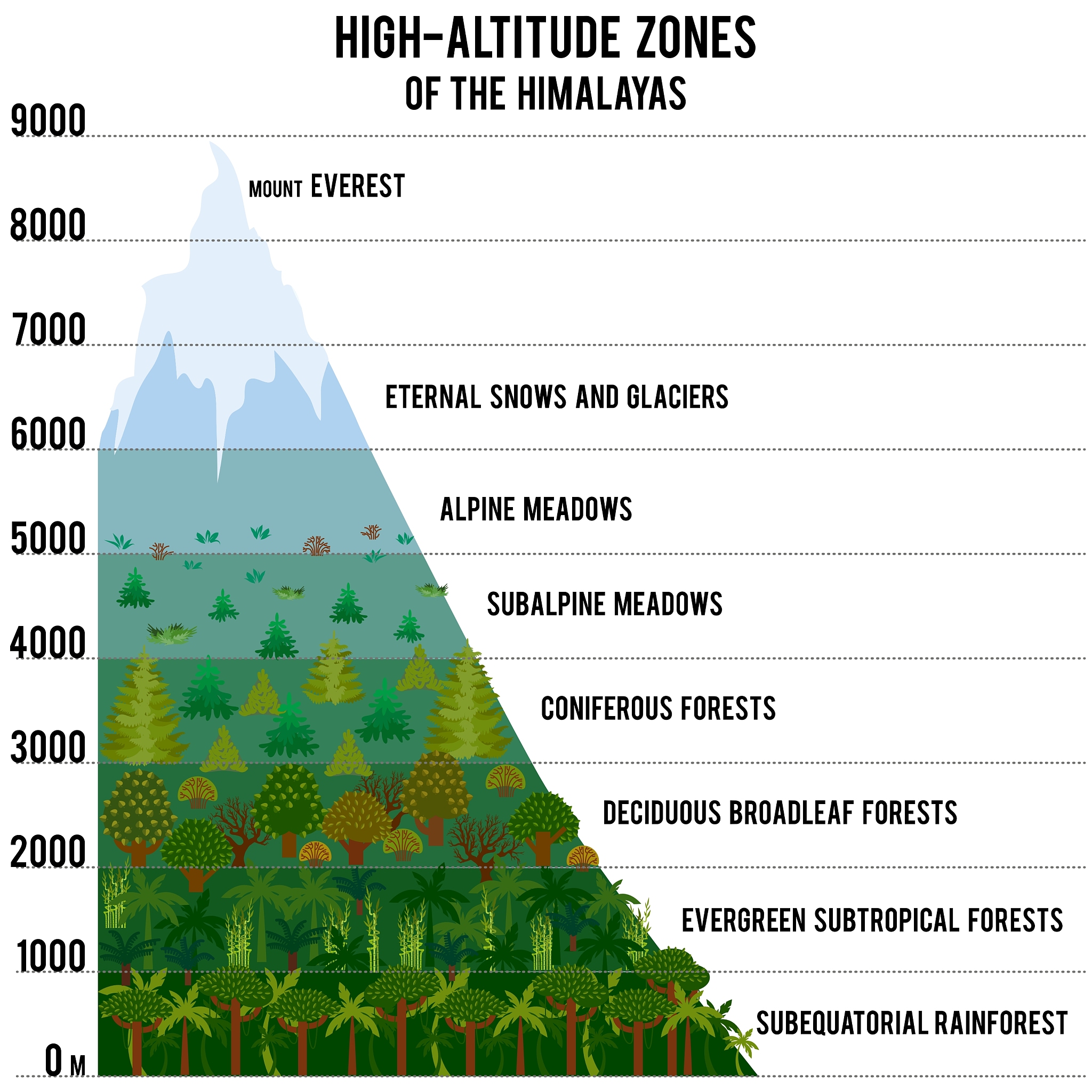 Excessive planting density surpassing the carrying capacity of the environment can lead to a decrease in grain number and size as well as an increased risk of yield losses An ideal plant architecture
