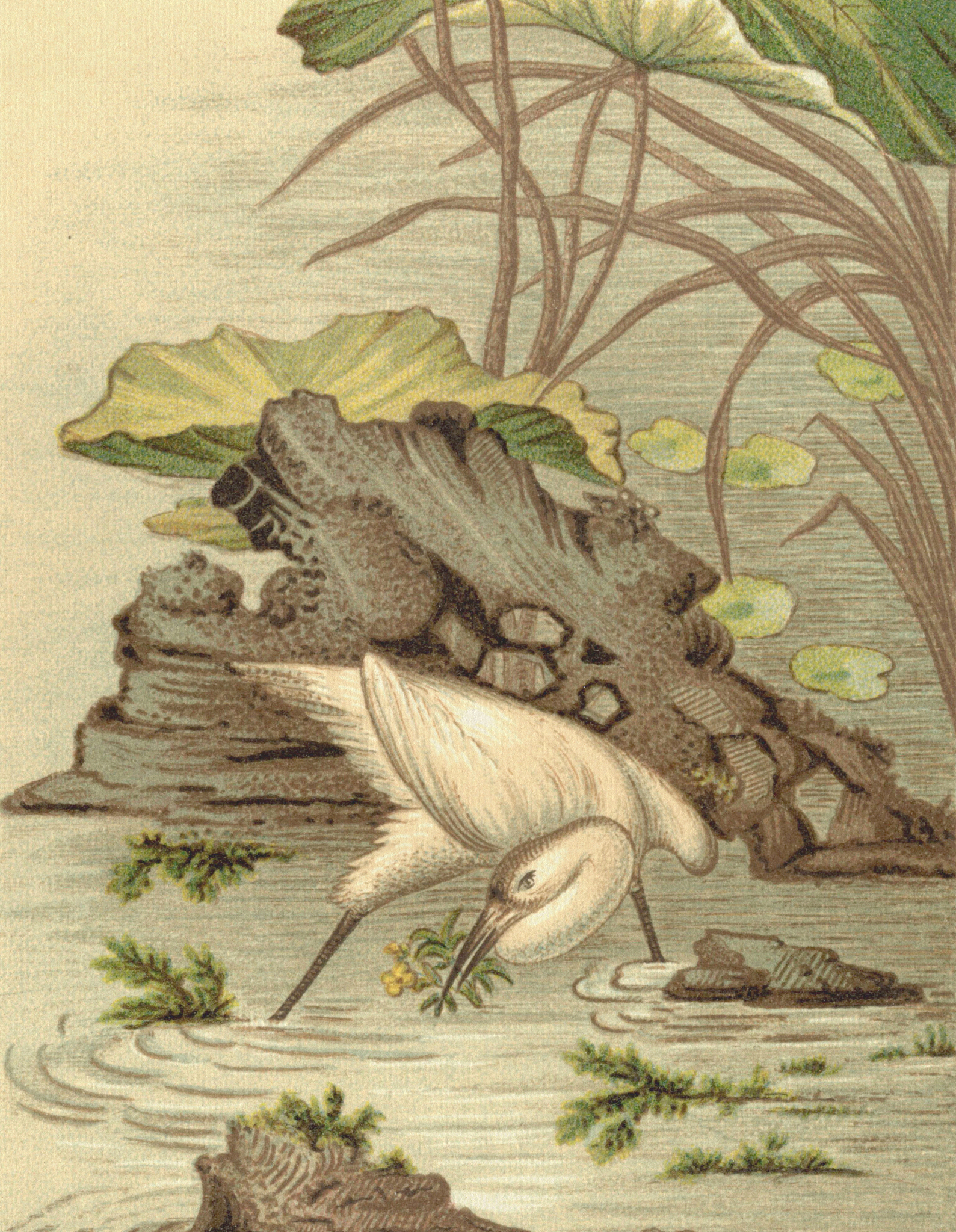 给我写一个工艺美术专业的开题报告主要是白泽形象在木制工艺画中的应用