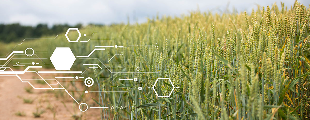 曲靖农业中等学校2019年五年制大专招生咨询电话 - 农业人才培养首选