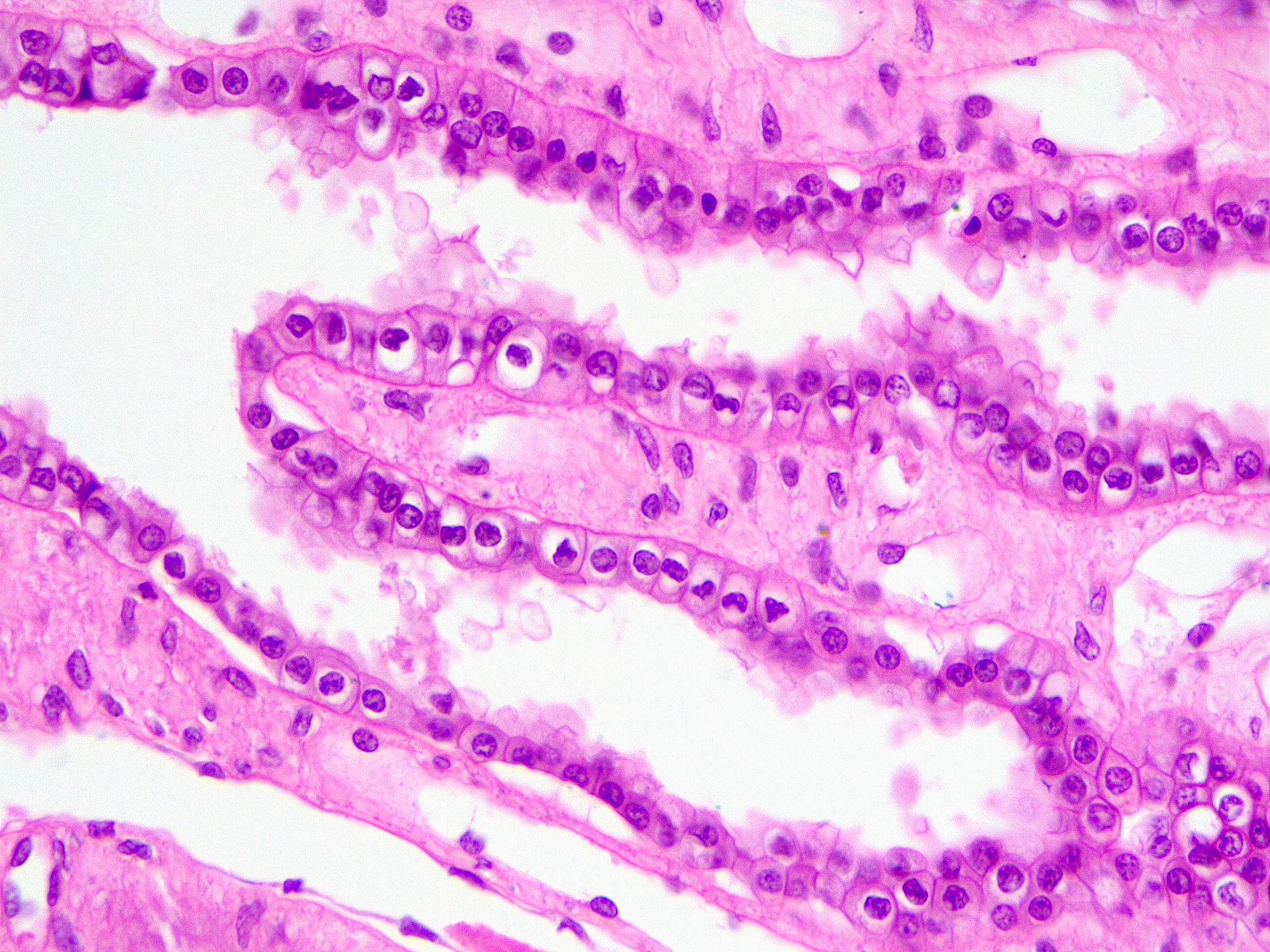 单元整体教学设计多维分析：从目标到评价