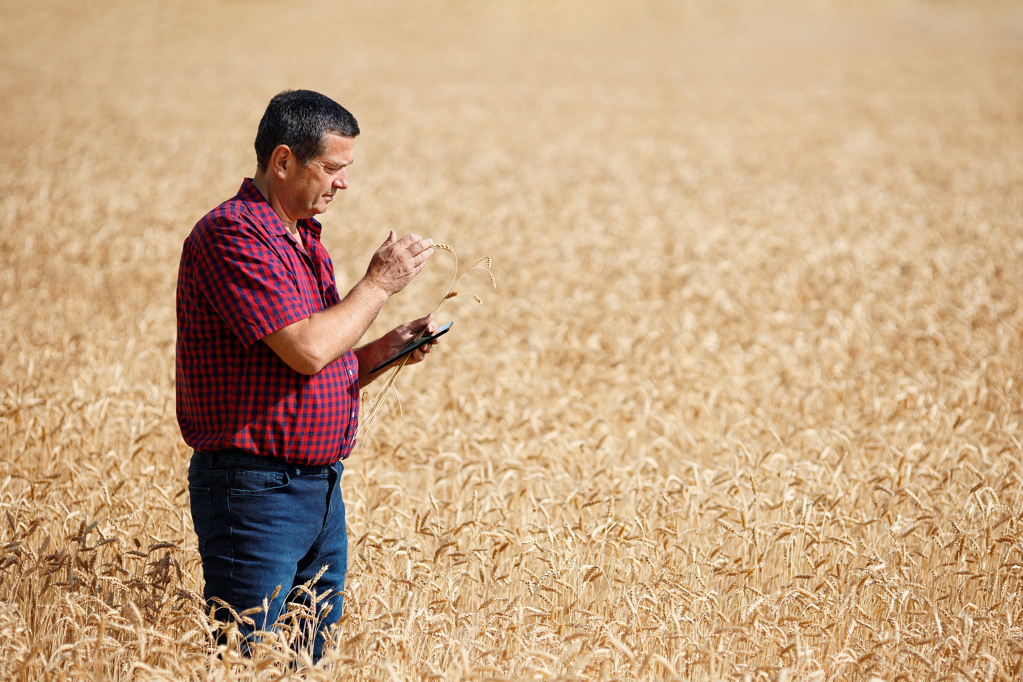 云南省曲靖农业学校2019年五年制大专招生简章