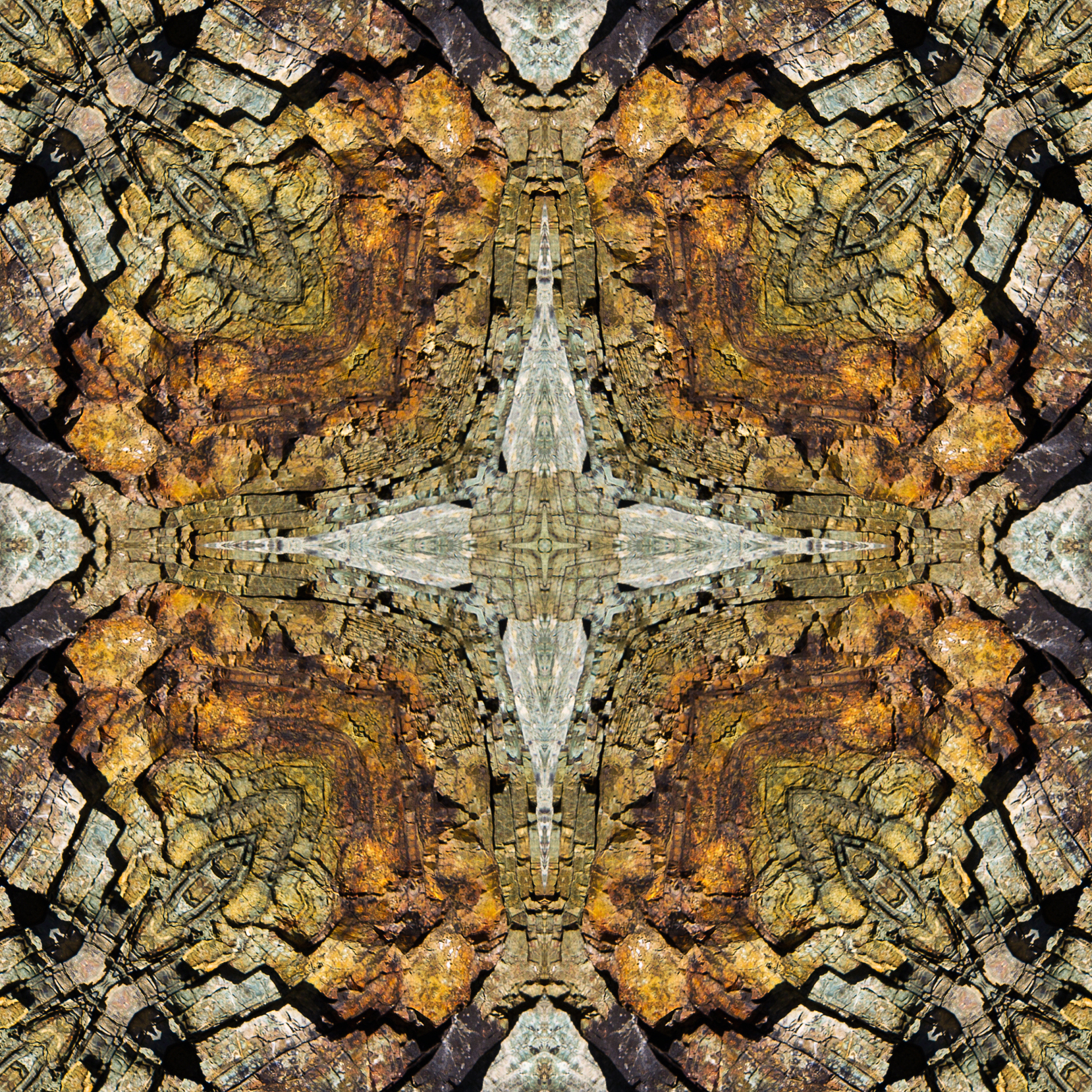 西安黄岗中学排名：优势、历史和办学理念