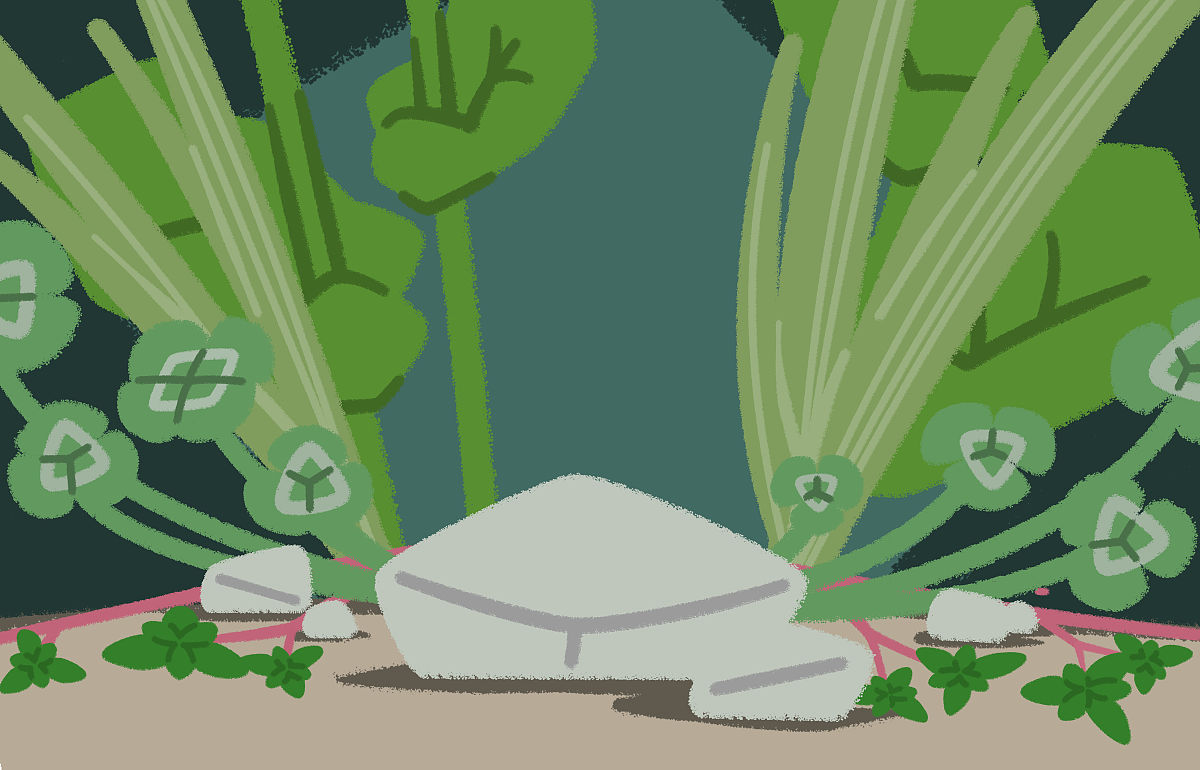 日语语法解析：动作后、条件、比喻、动词活用，全方位讲解