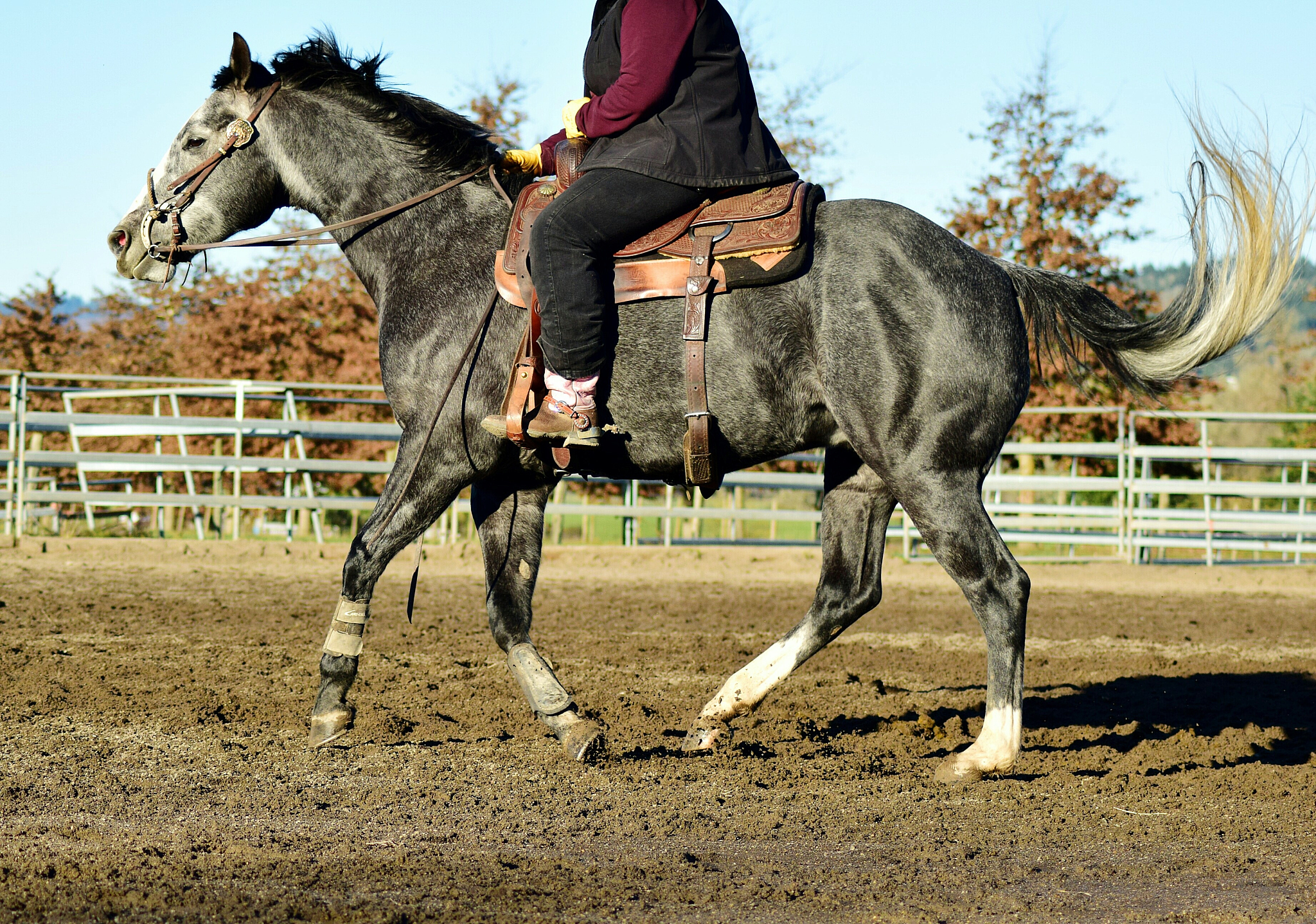 person riding horse in field