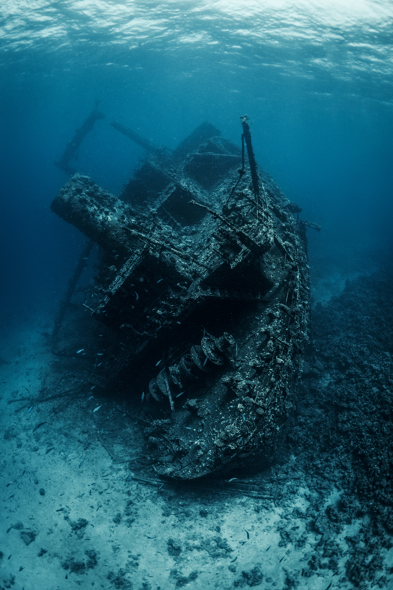 shipwreck completely overgrown with corals lying on the seafloor