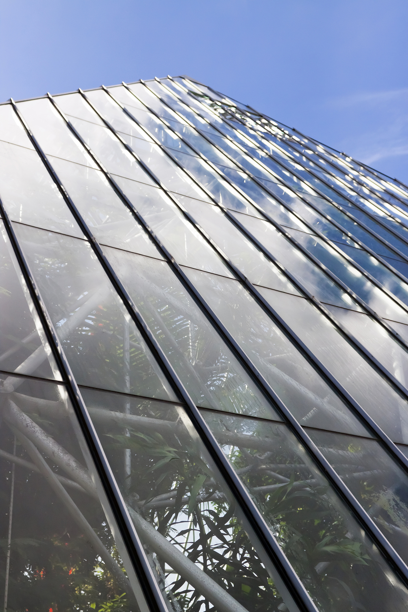 sloping glass wall of greenhouse against blue sky