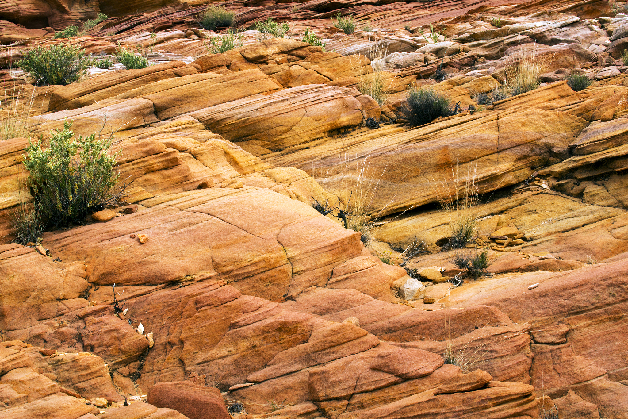 valley of fire