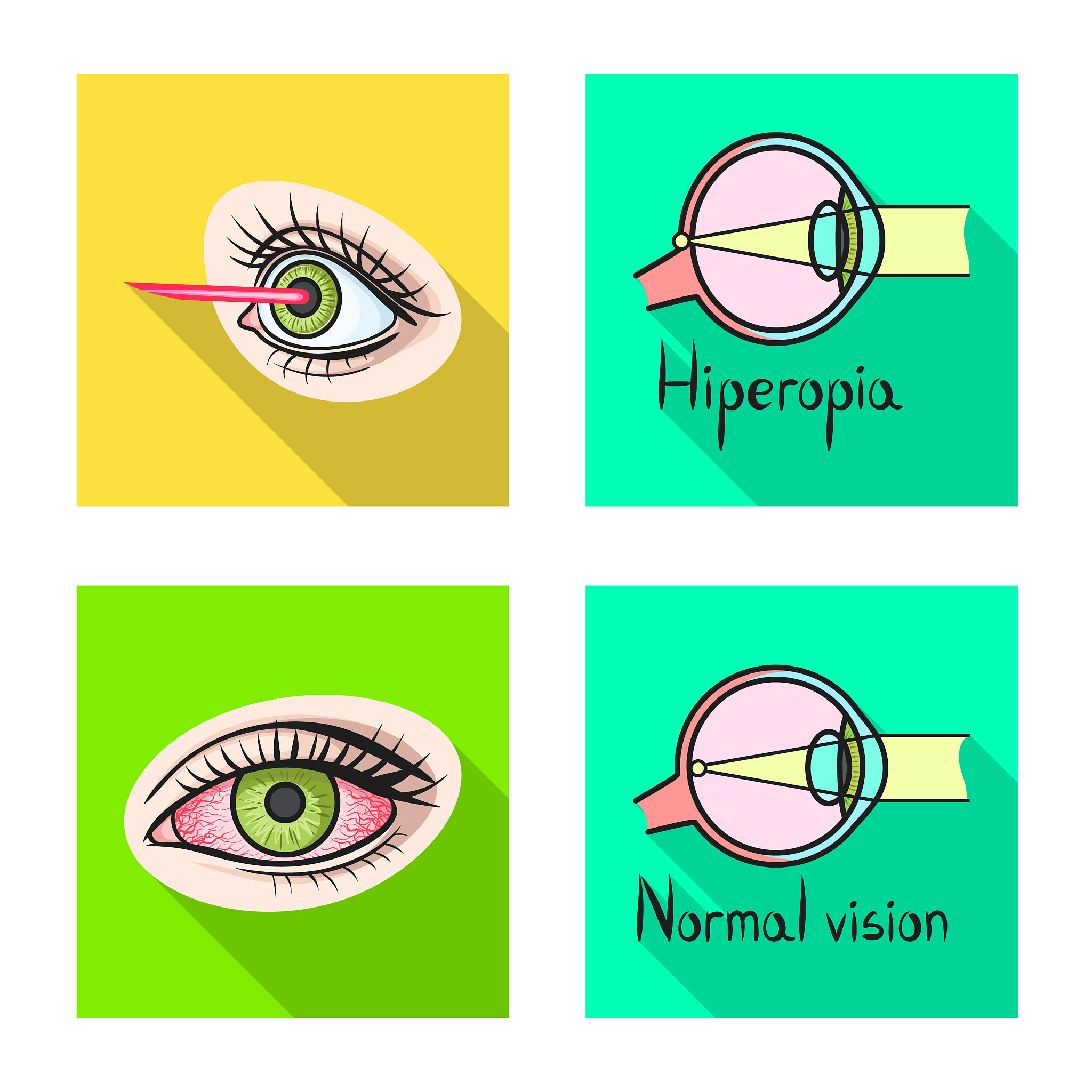 眼睛的本领是什么小班