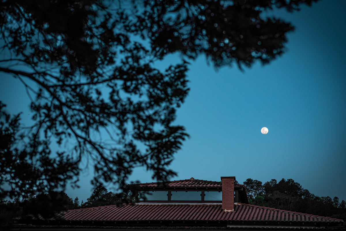 夜之静谧，俳句吟唱 - 捕捉月光与梦境的诗意