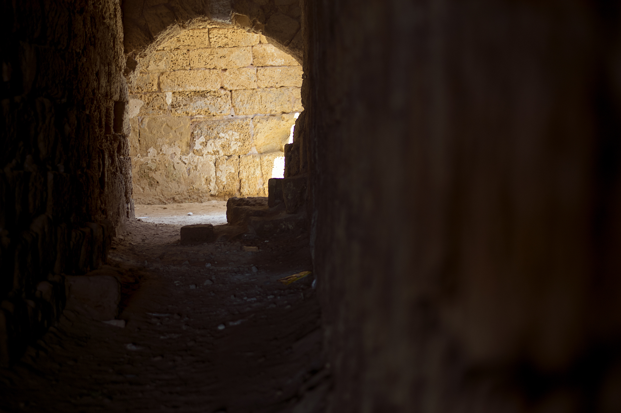 古代由哪些人来充当导游