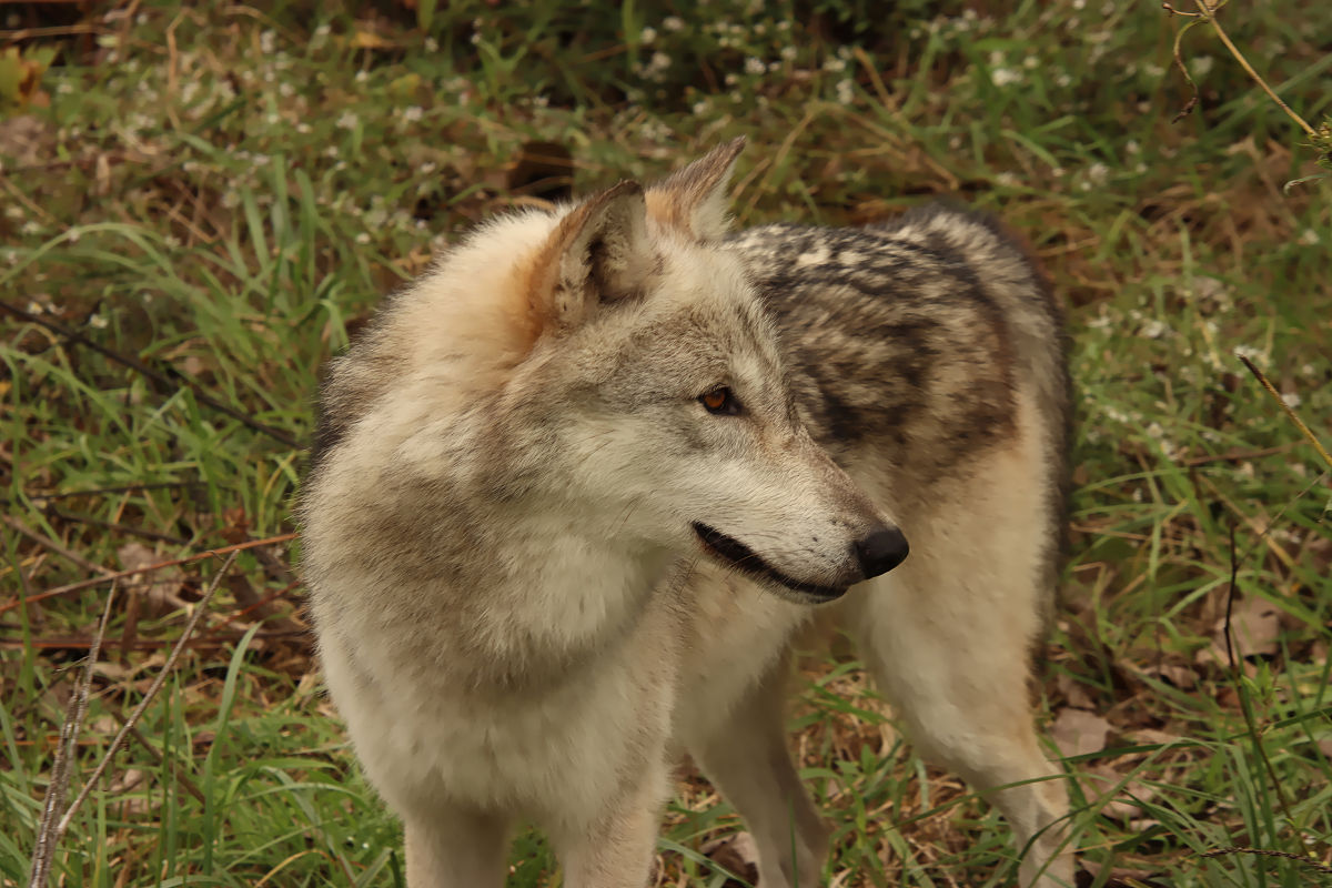 怎么对付虚伪会演戏的人