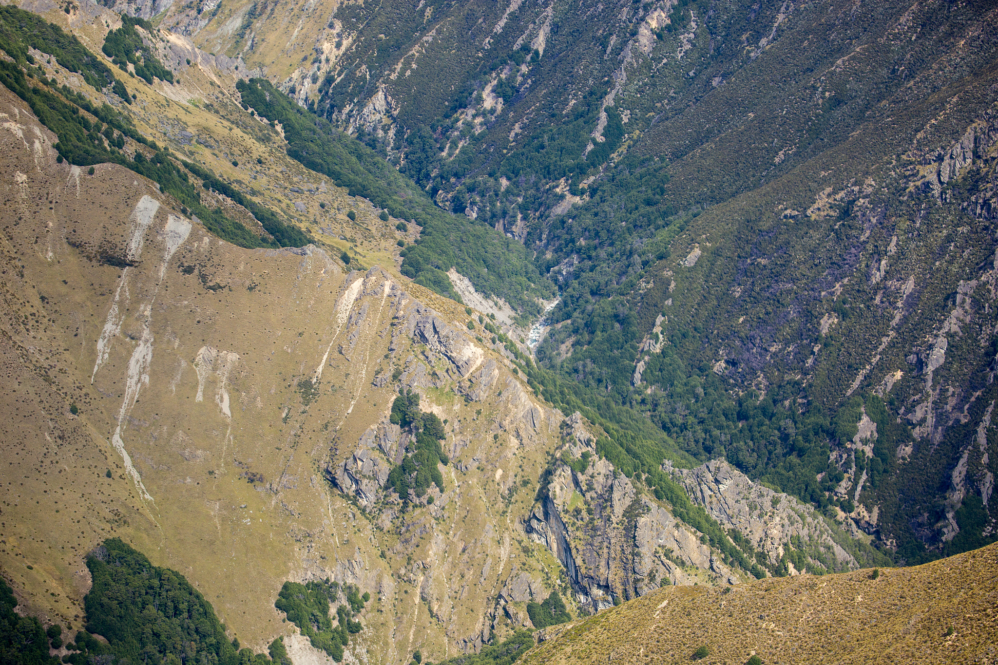 new zealand: southern alps