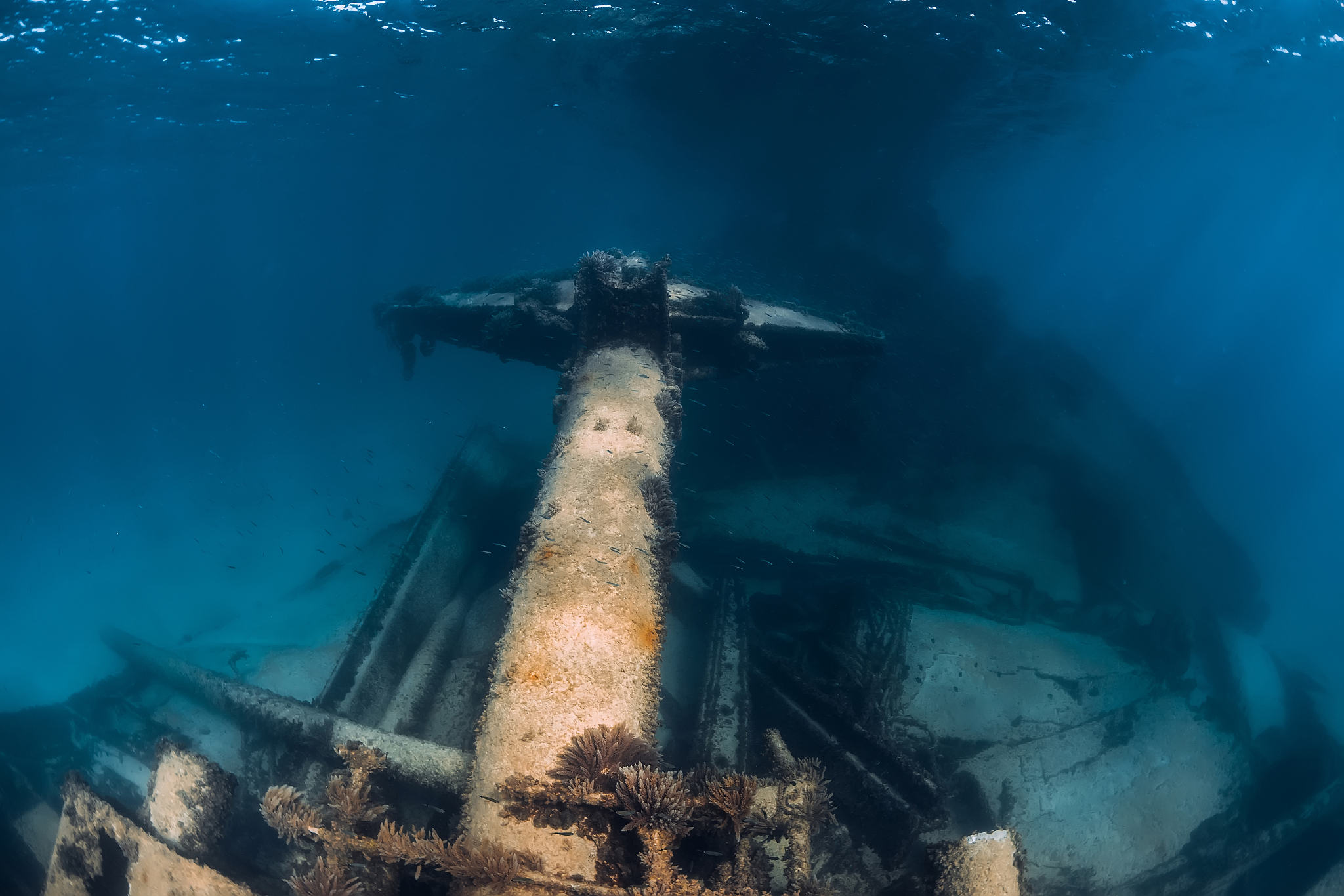 telamon wreck ship underwater in blue ocean near arrecife, lanza