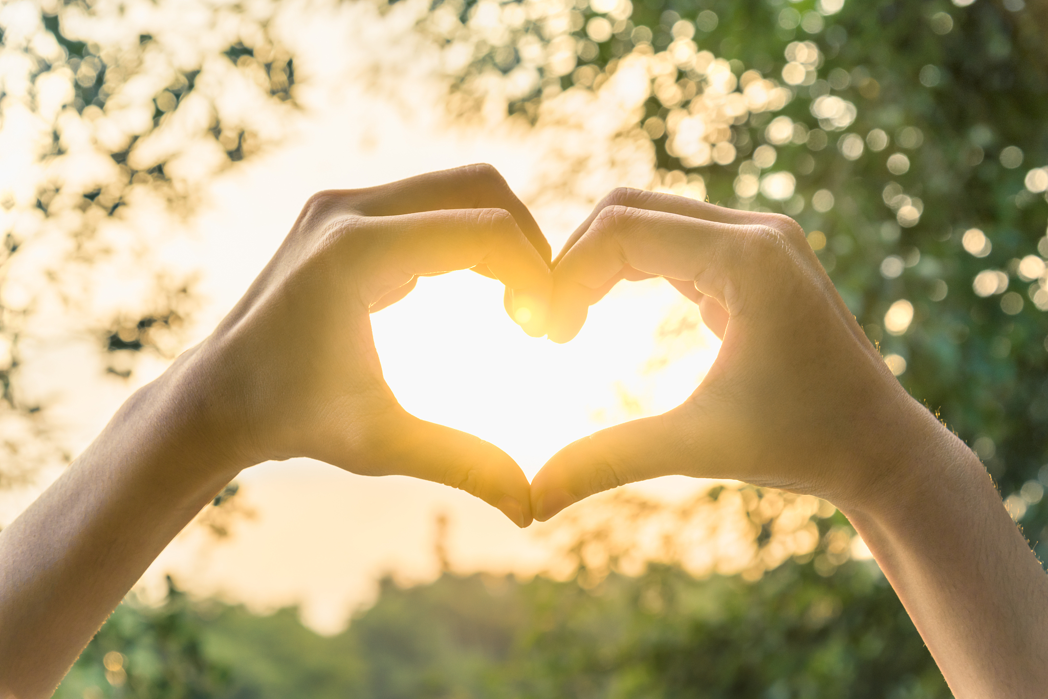 能有一颗心相随什么意思