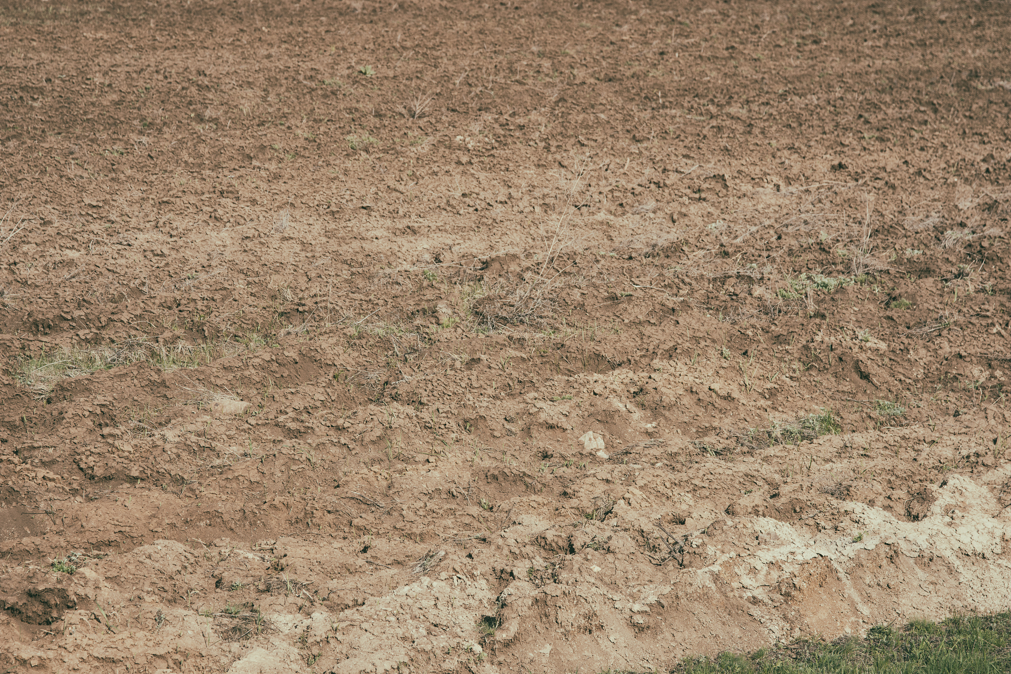 farm and plowed field.