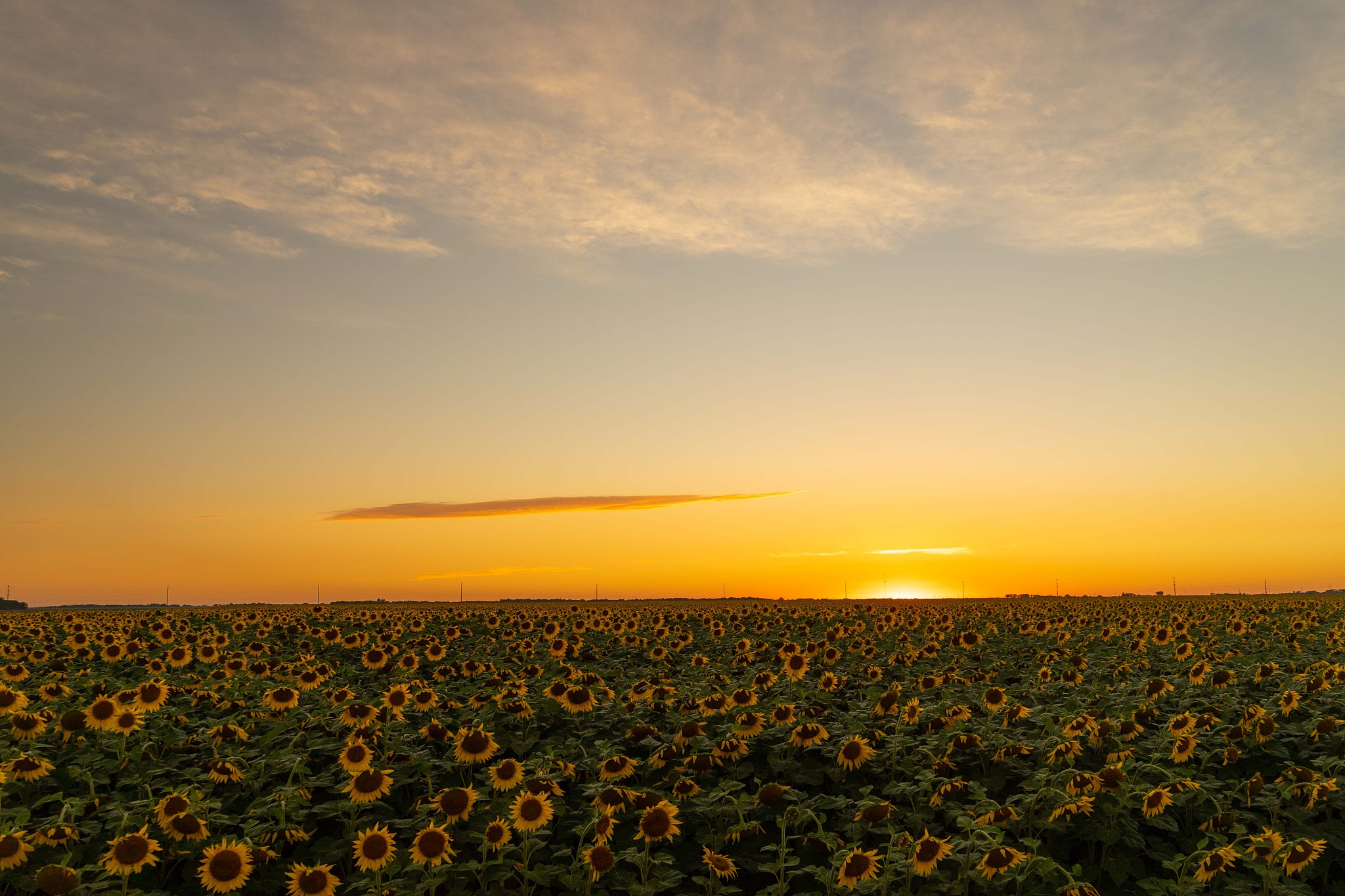 以我不由得停下脚步为开头写一篇作文