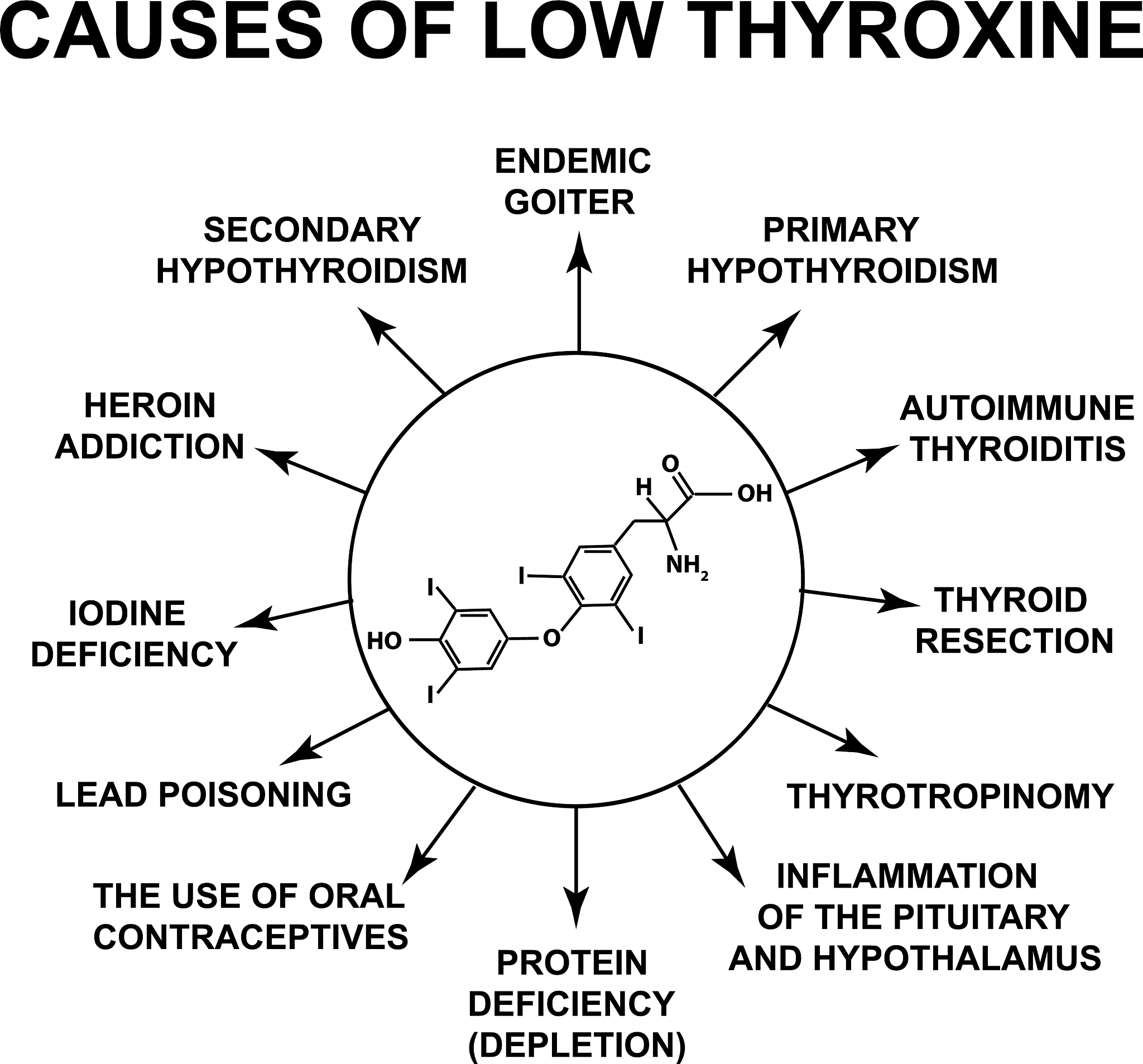 [Hbet][Tf2N] Cation: Weak Acid Properties and Rare Earth Element Complexation
