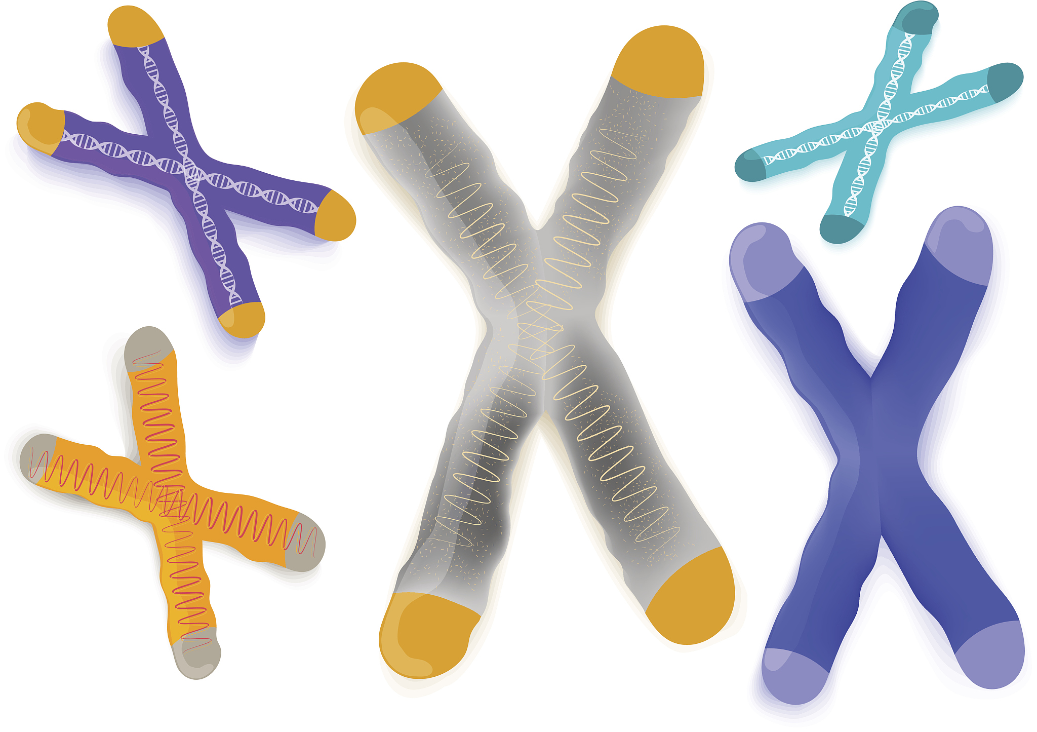 色盲遗传概率：叔叔是色盲，侄子患病几率有多大？