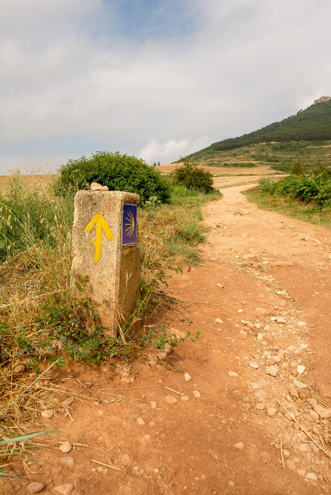 camino de santiago as it passes through navarra
