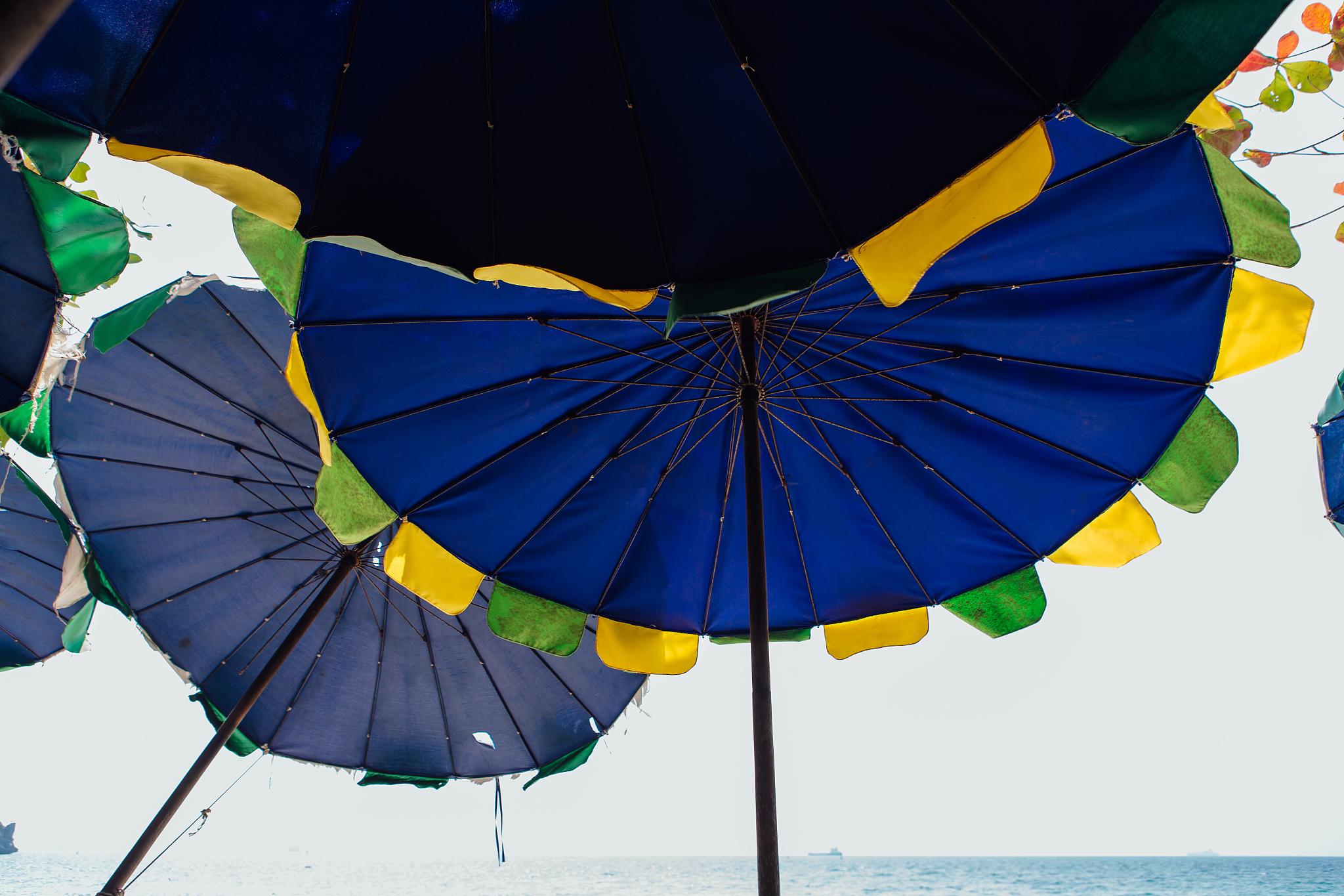 blue beach umbrellas for sun protecrion closeup background.