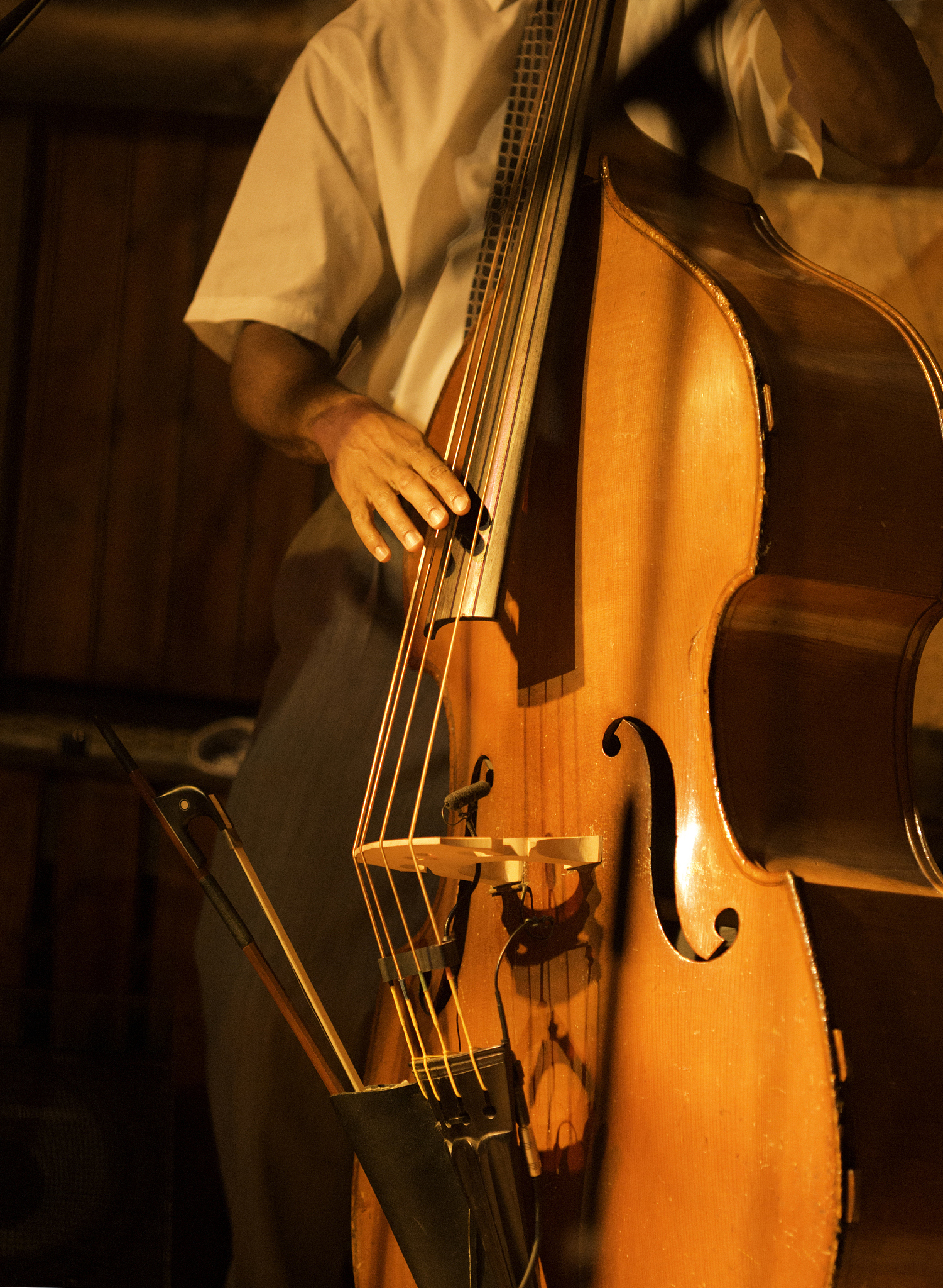 重庆艺术学校音乐表演专业教学内容详解：培养高水平音乐表演人才