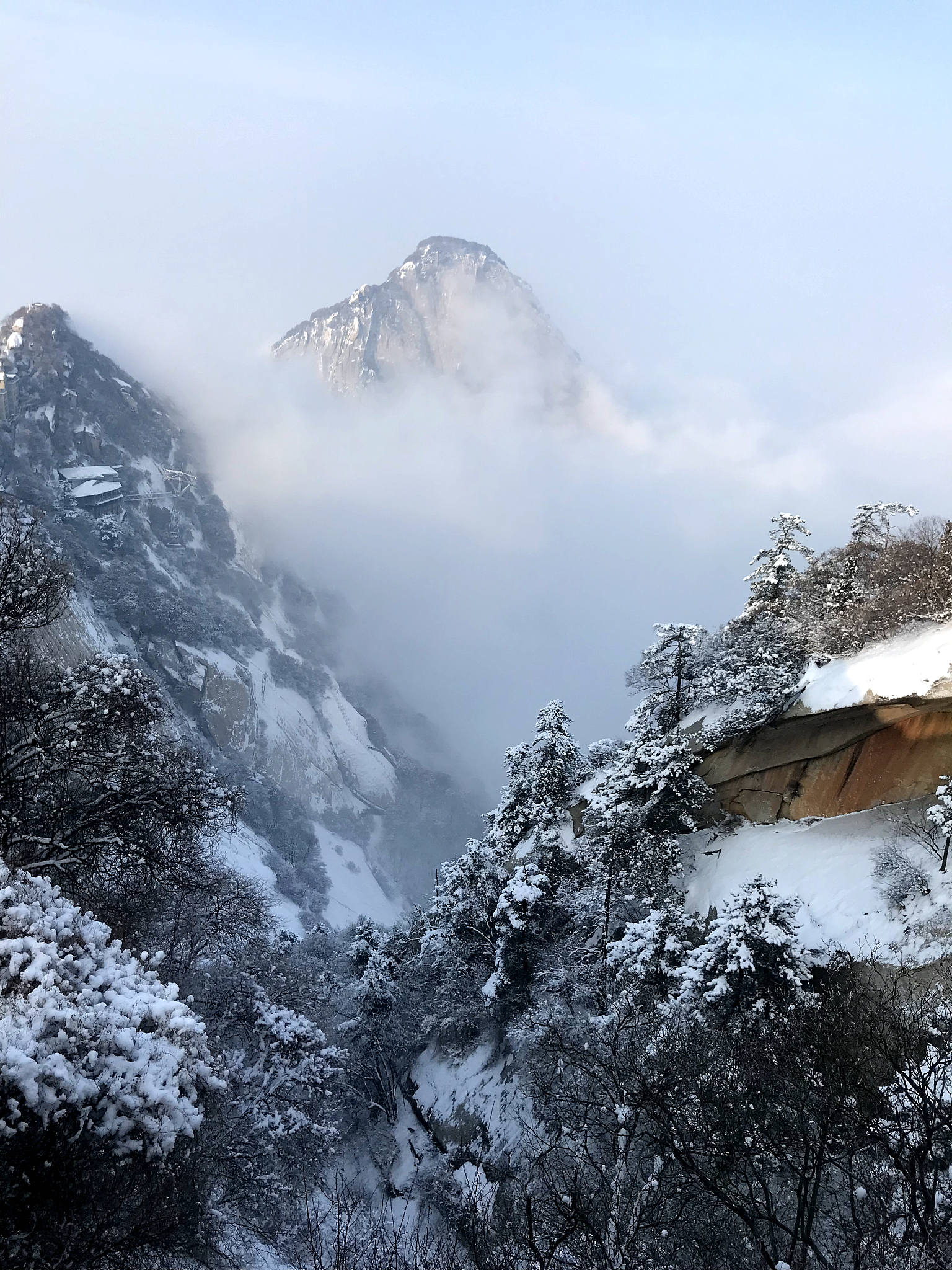 24岁山东小伙华山失联9日 手机定位无果 母亲焦急万分
