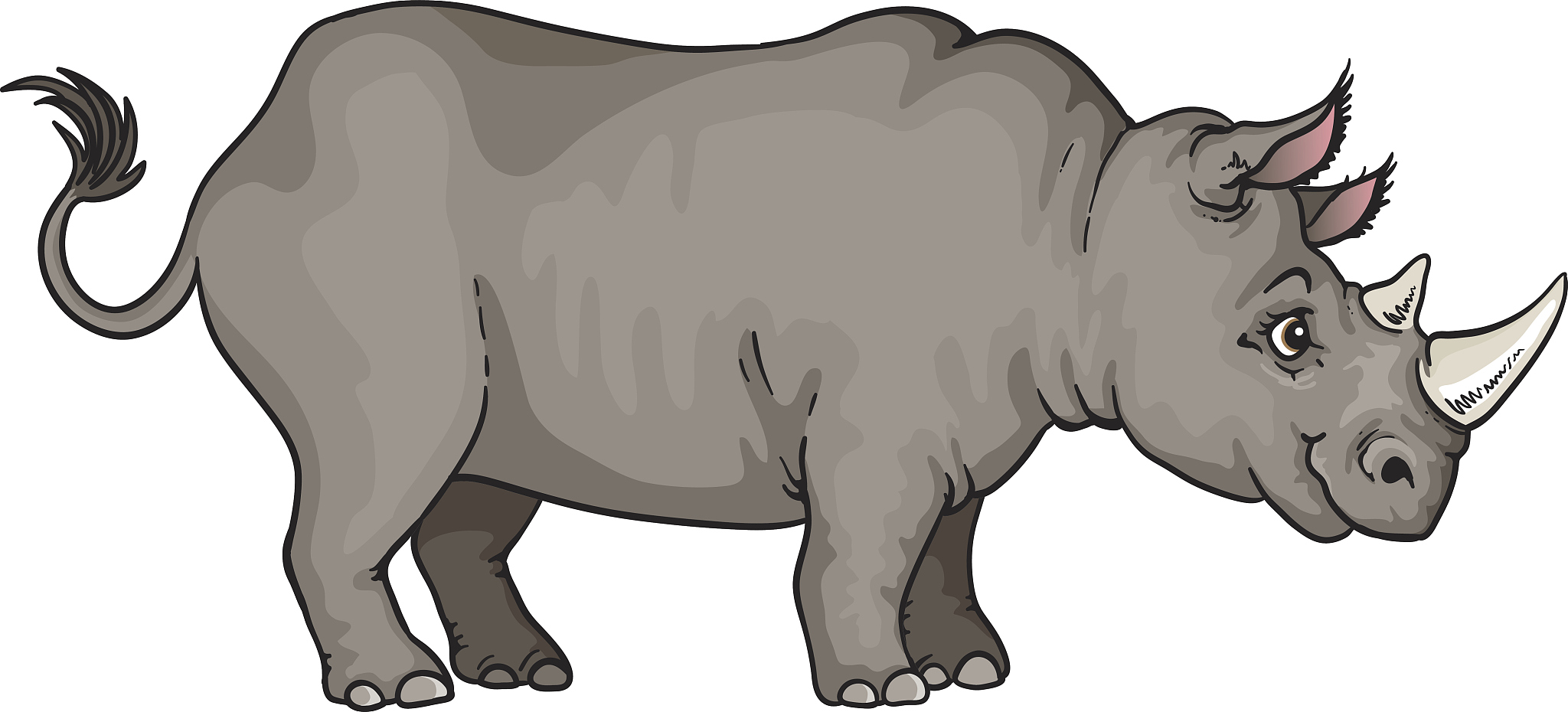 rhinoceros软件里面的rhinoCAM软件设置保存路径帮我用210字详细描述